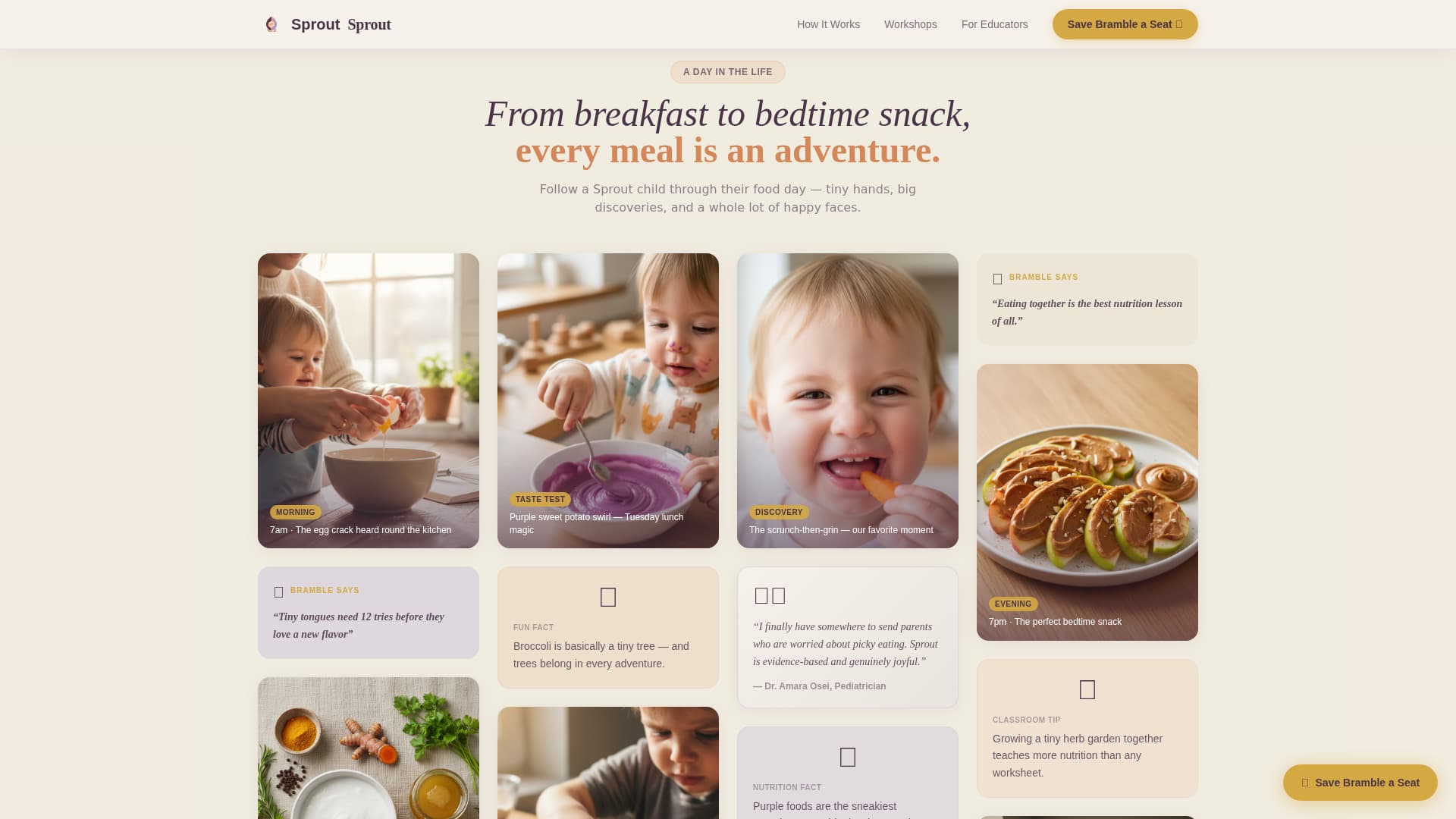 Preschool (3-5) Products & Professional Website Template