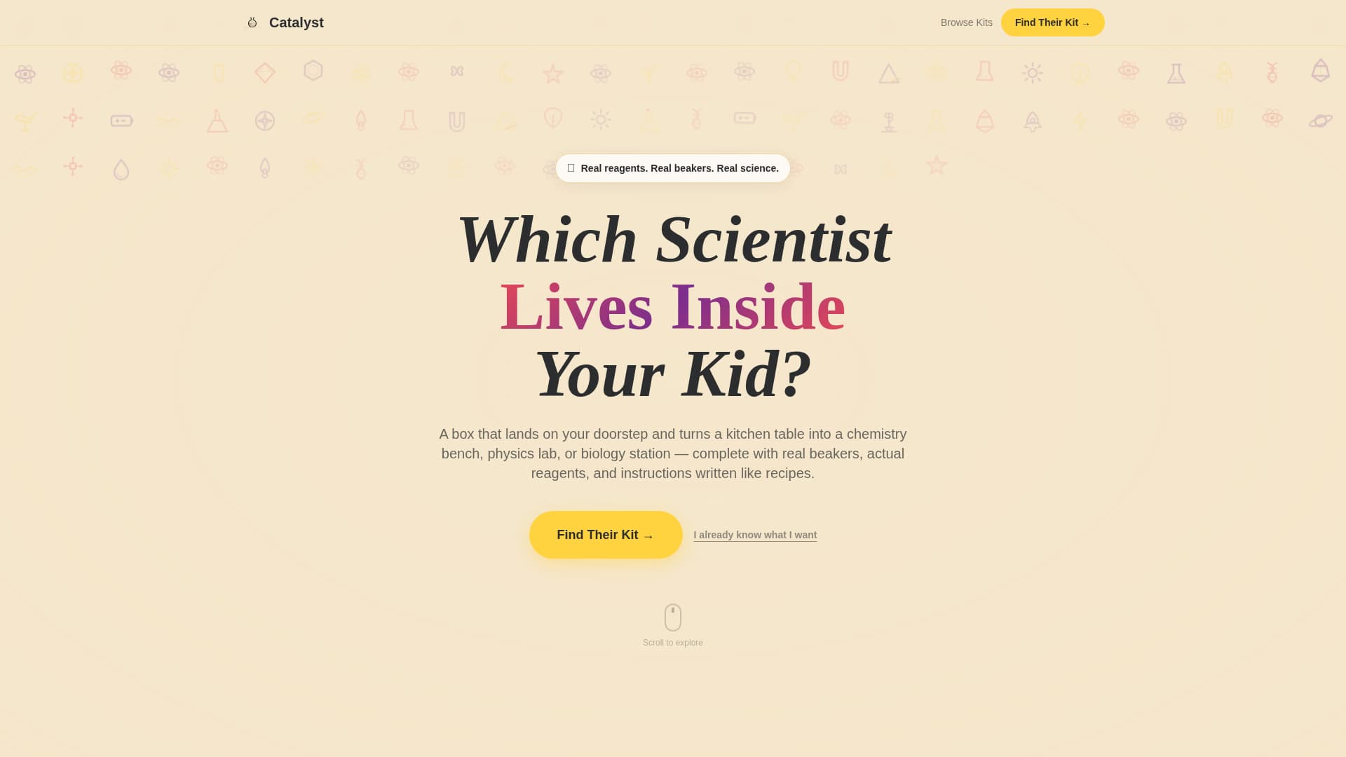 Education & Learning Toy Advanced Professional Website Template