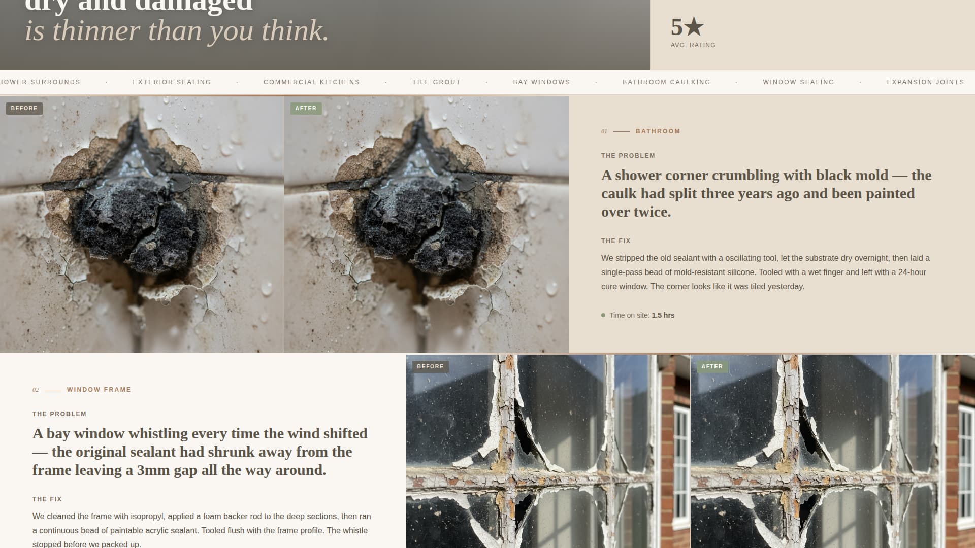 Seal - Flawless Caulking Landing Page Template