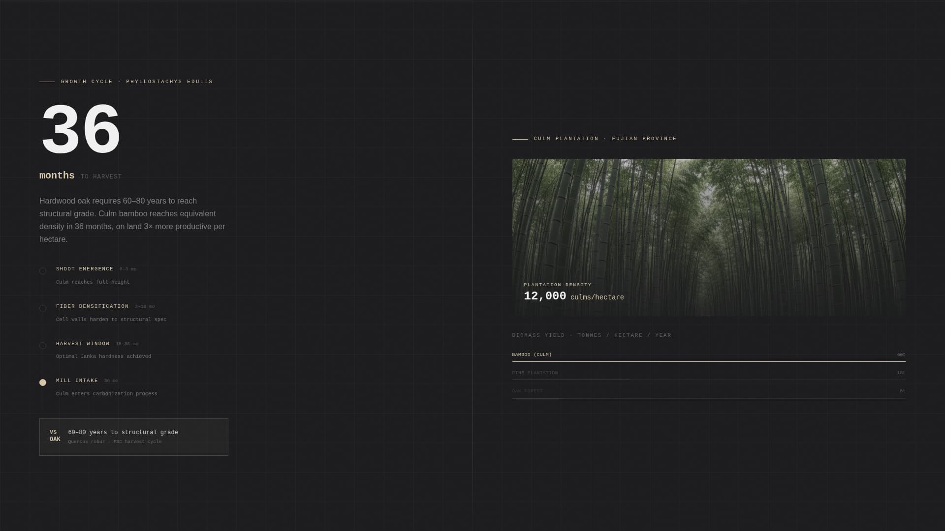 Culm - Industrial Bamboo Landing Page Template