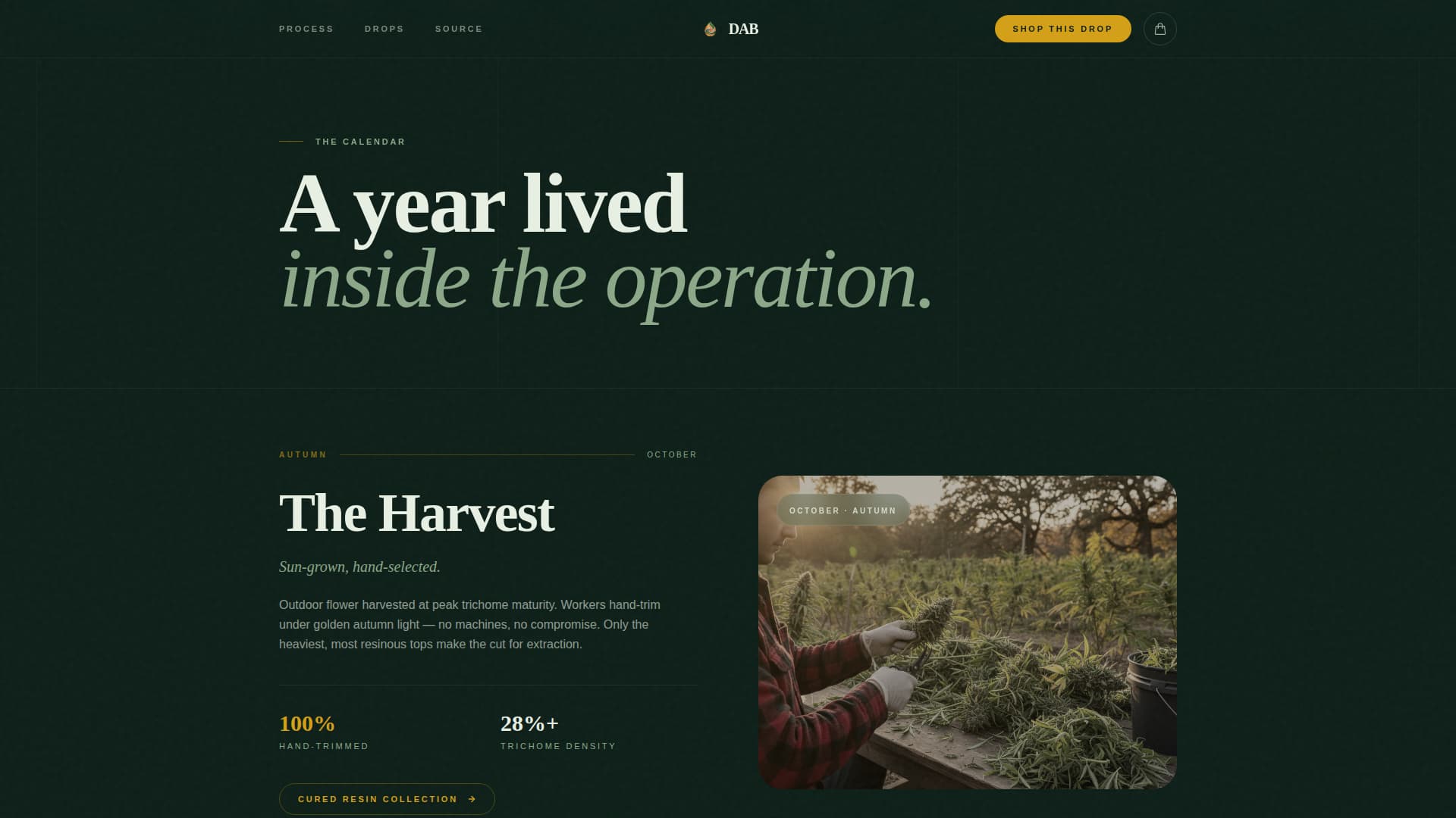 Cannabis Cultivation & Production Professional Website Template