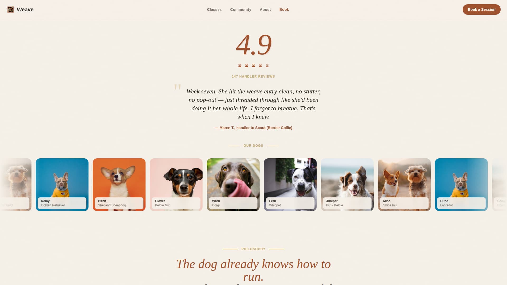 Weave - Trusted Agility Landing Page Template