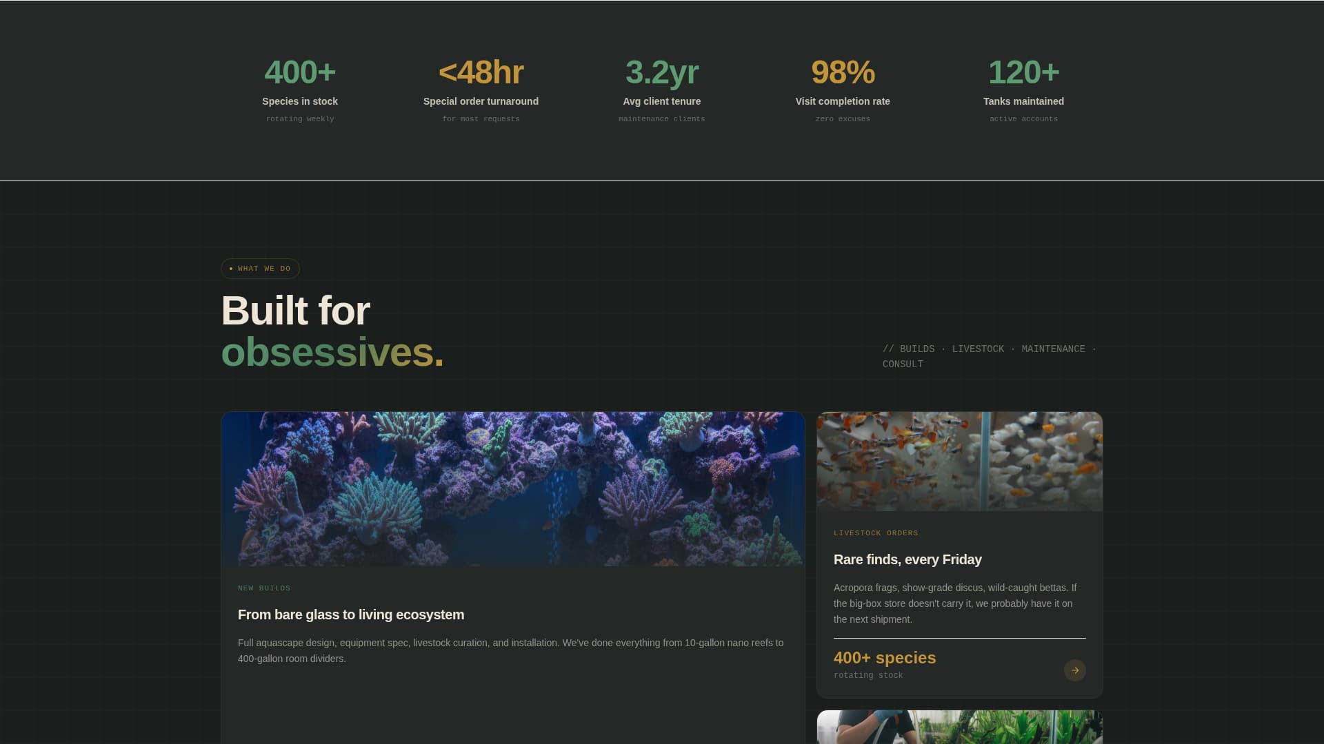 Reef - Captivating Aquarium Landing Page Template