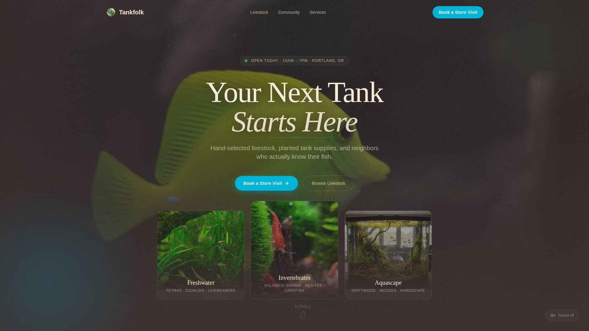 Tankfolk - Thriving Aquarium Landing Page Template