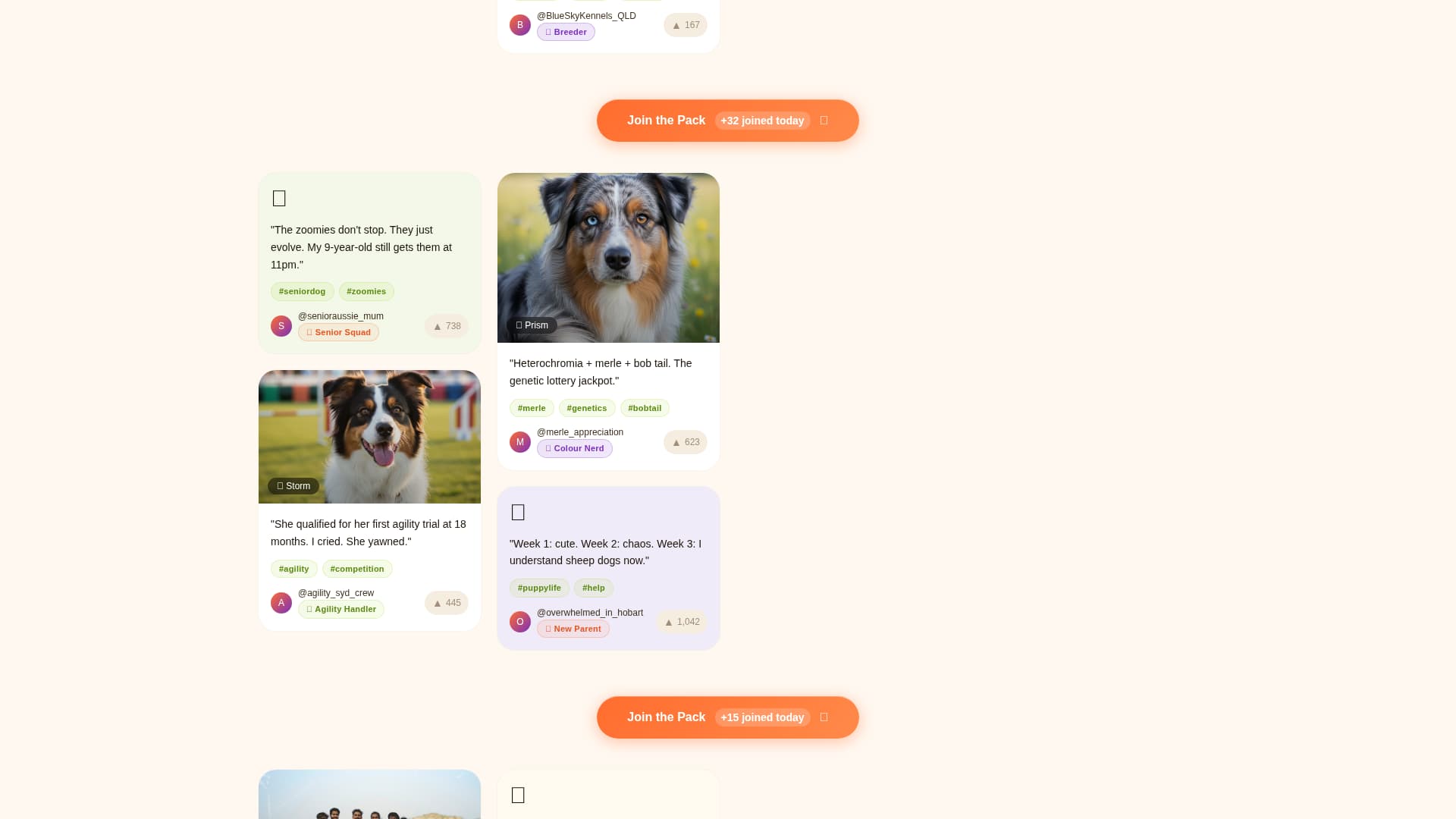 Dog Reviews Website Template