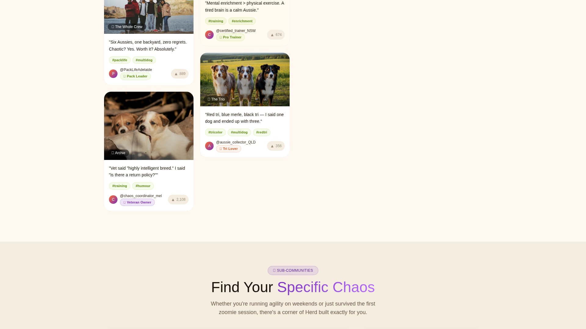 Dog Reviews Website Template