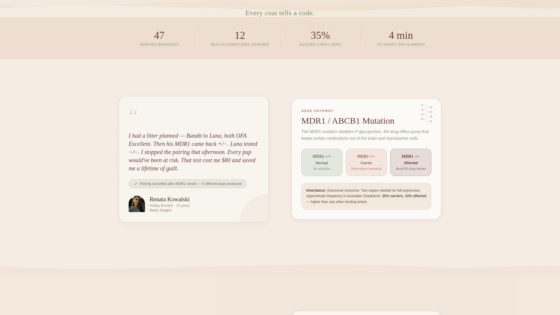 Dog Expert Reviews Website Template