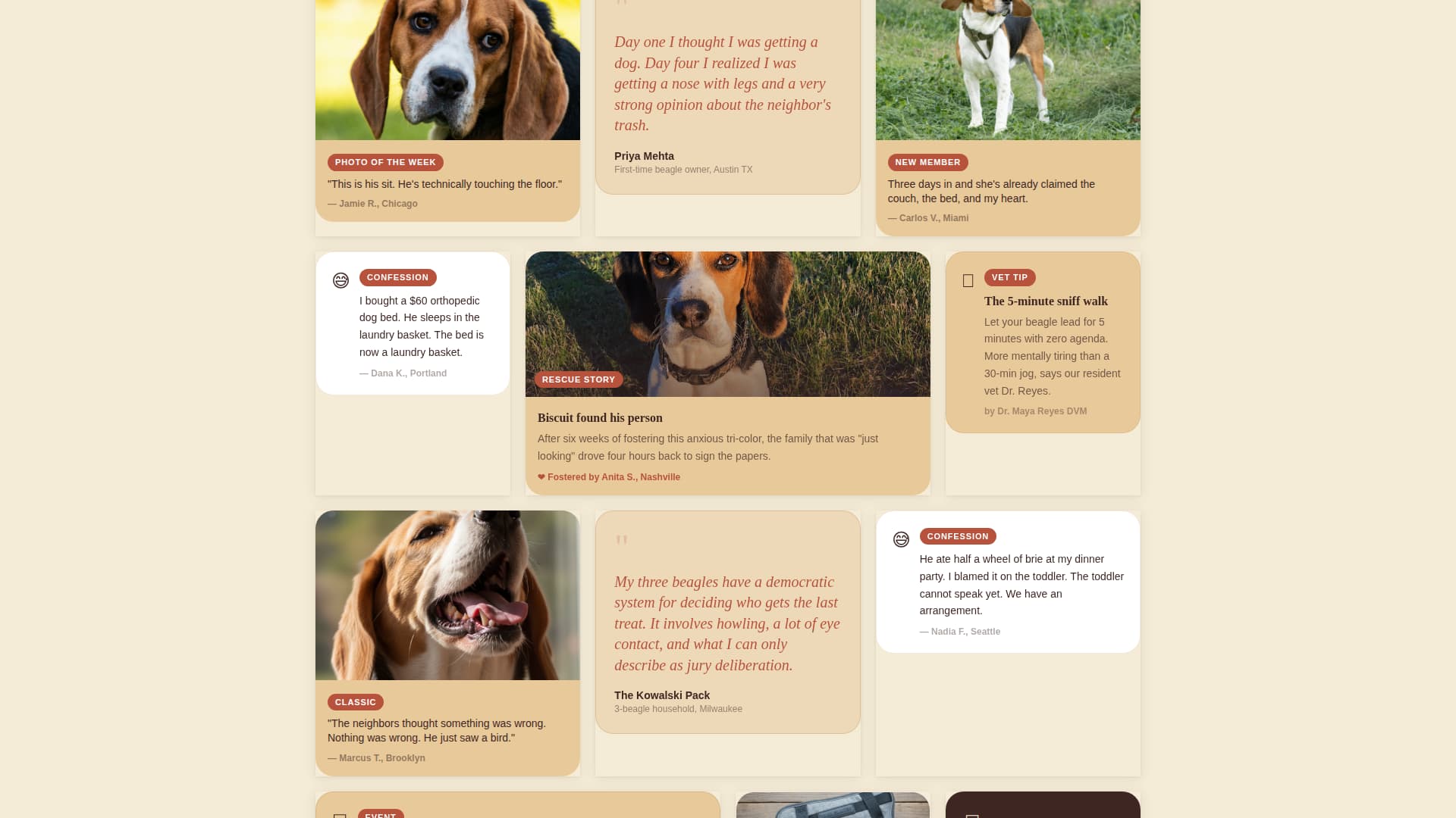 Dog Premium Reviews Website Template