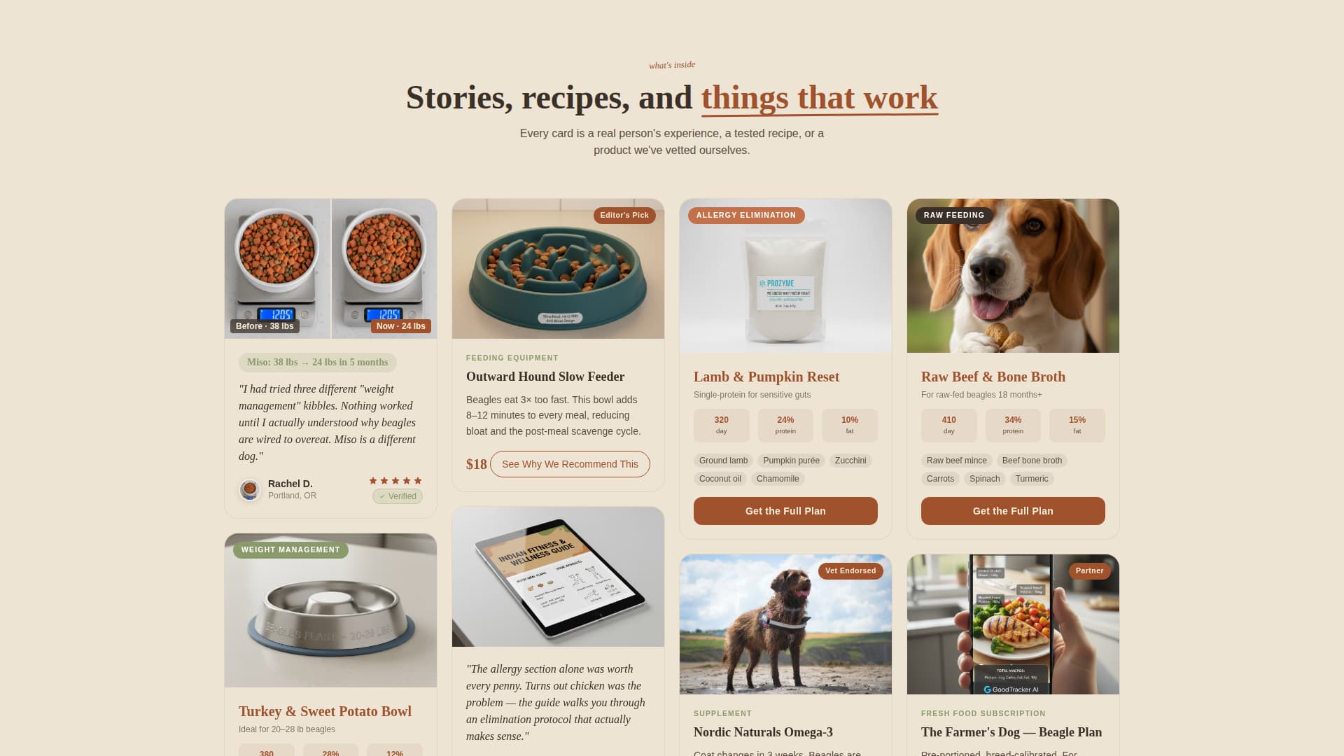 Dog Advanced Pricing Website Template