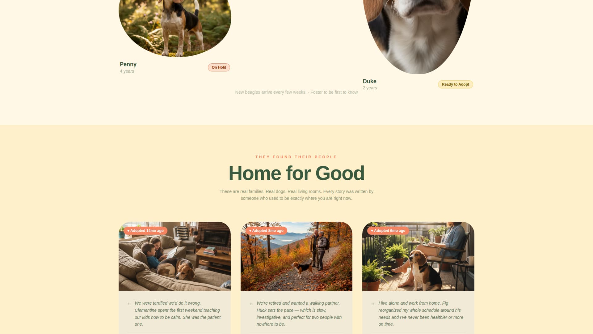 Dog Expert Professional Website Template