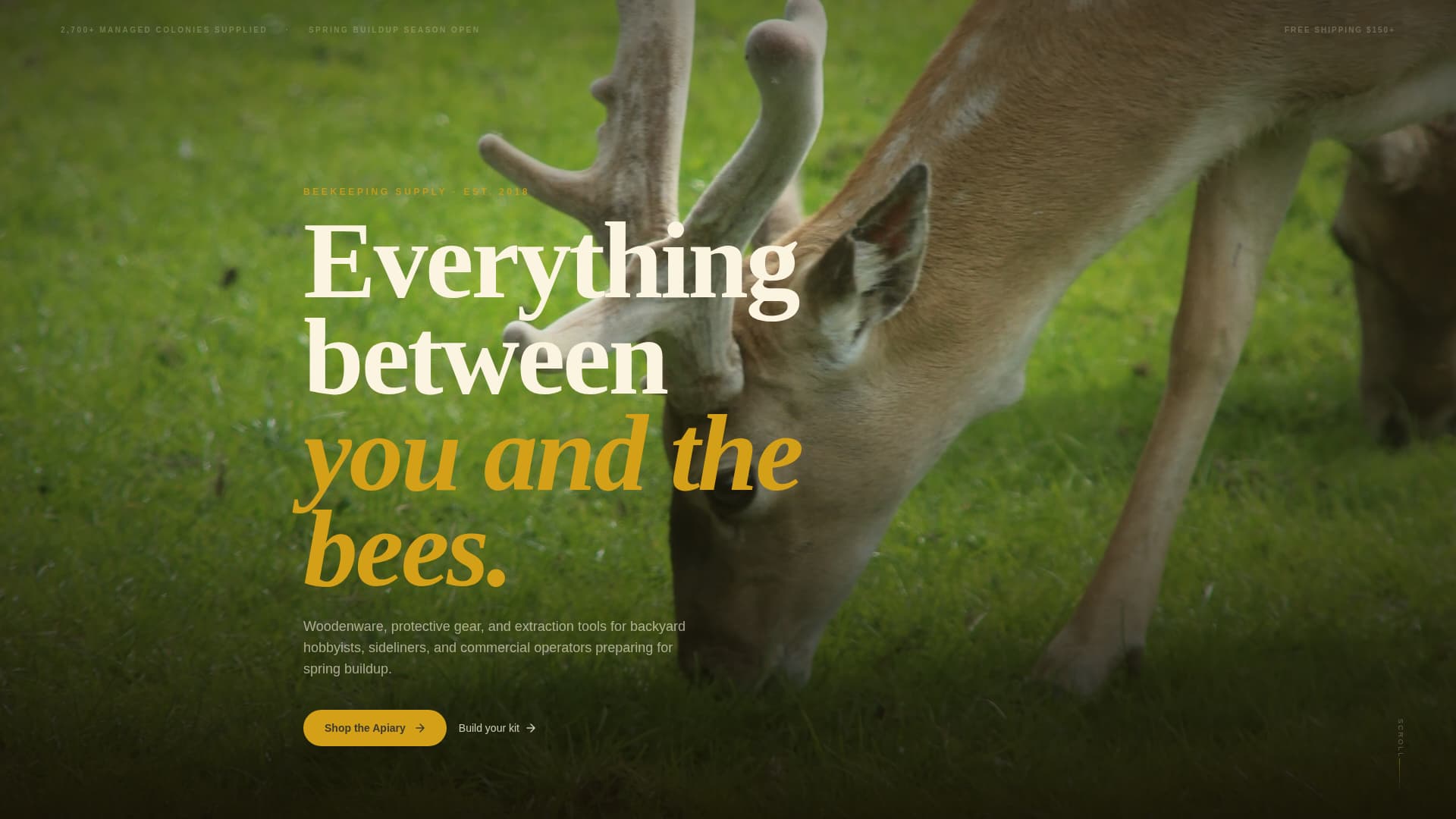 Hive - Curated Beekeeping Landing Page Template