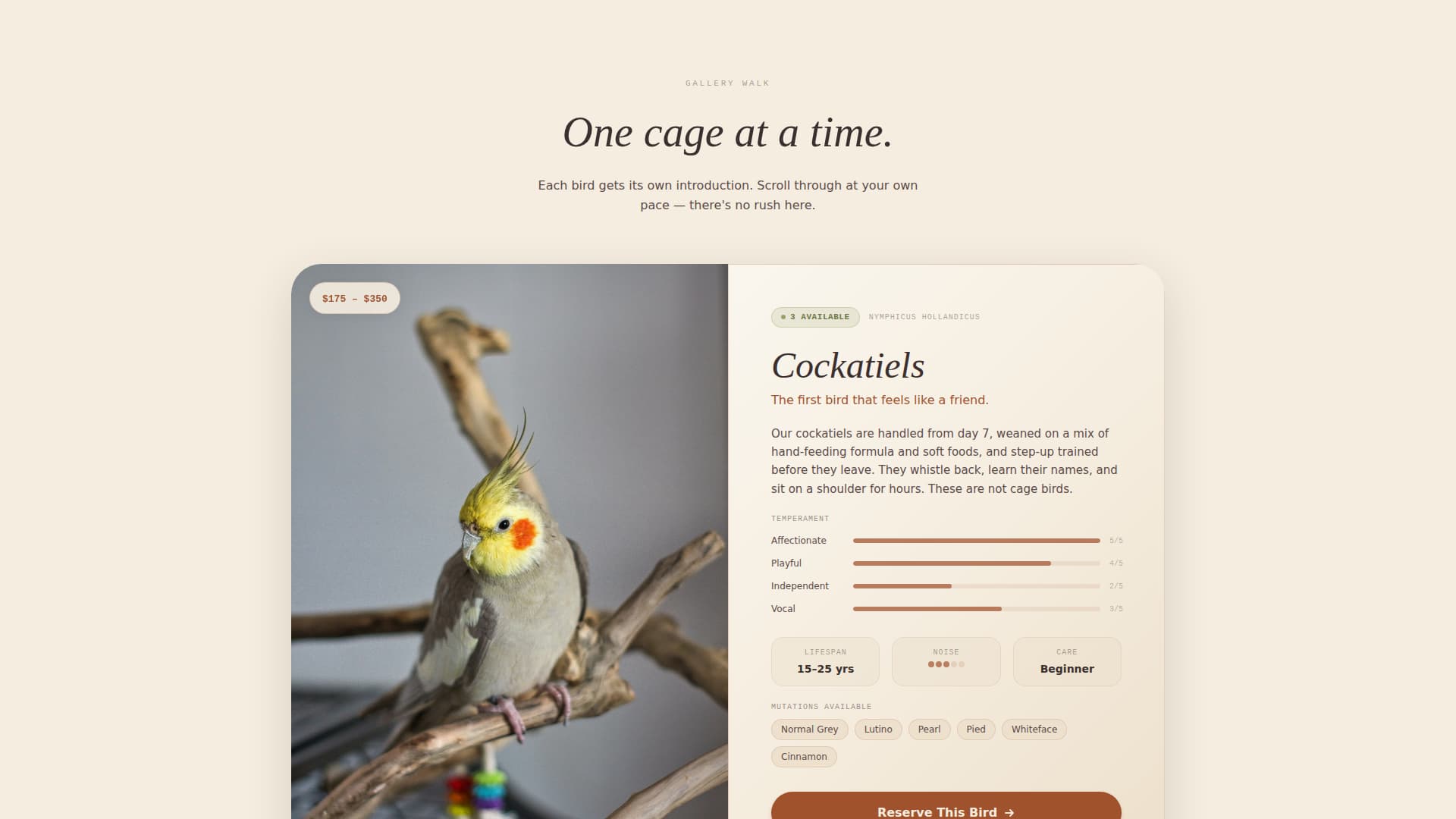 Bird - Highconverting Breeder Landing Page Template