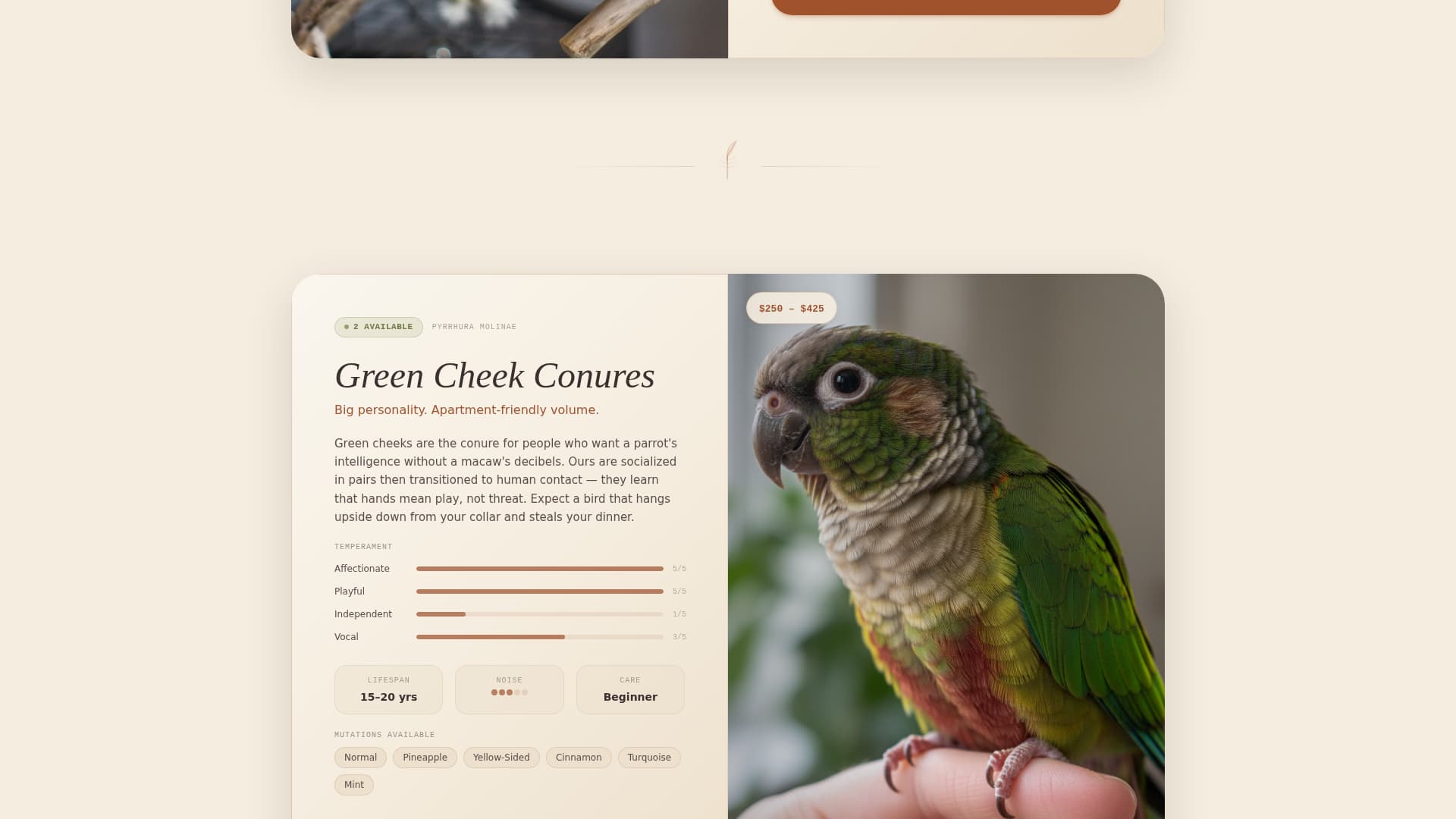 Bird - Highconverting Breeder Landing Page Template