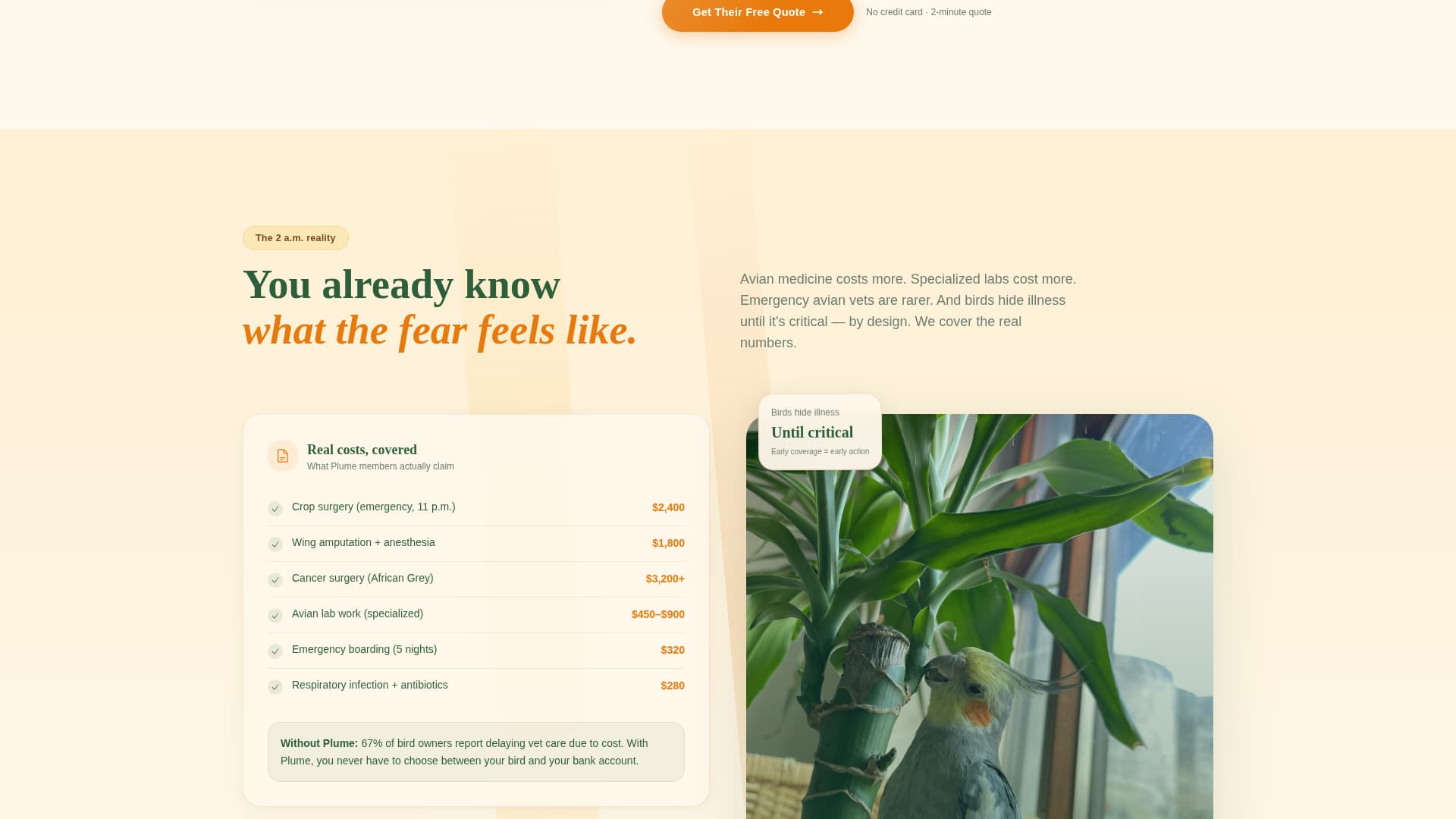 Plume - Heartfelt Birdinsurance Landing Page Template