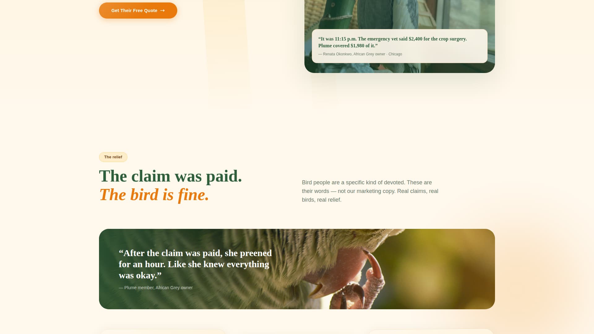 Plume - Heartfelt Birdinsurance Landing Page Template