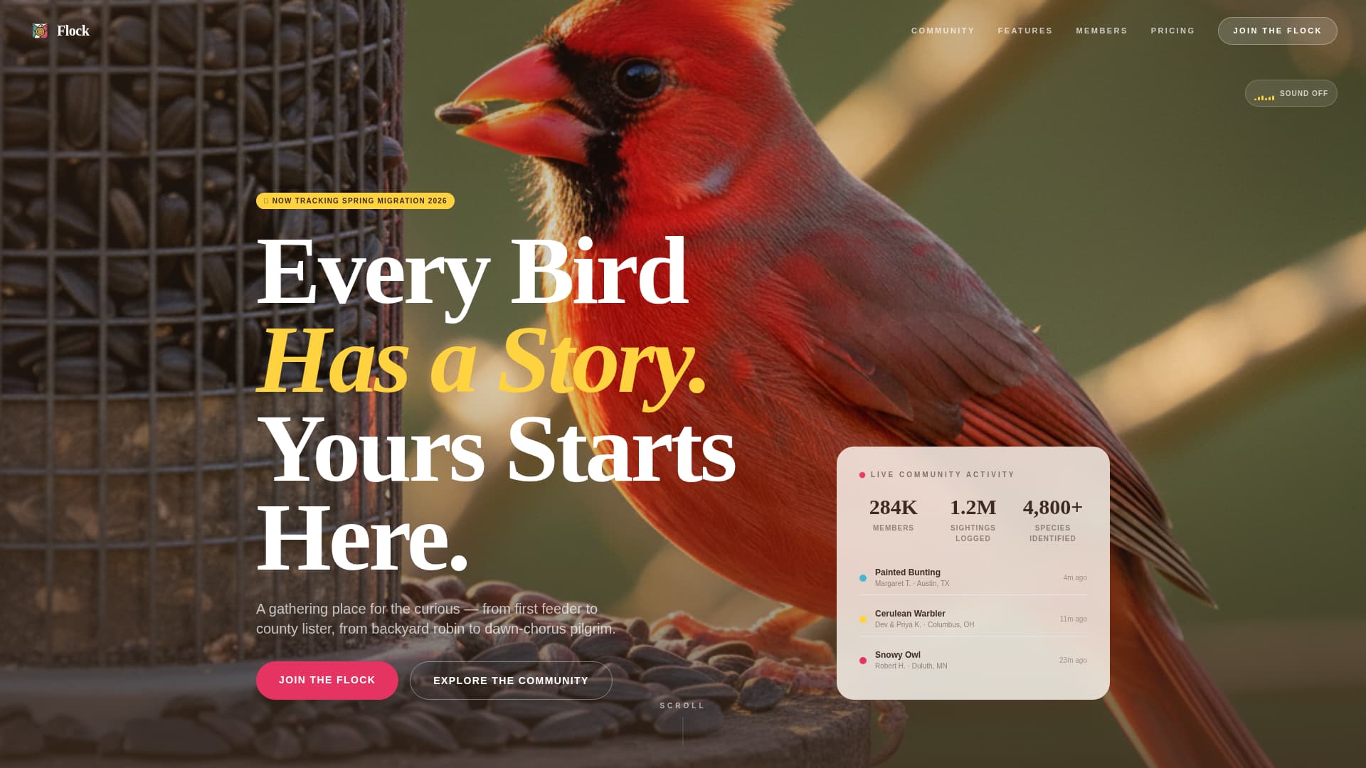 Flock - Vibrant Birding Landing Page Template