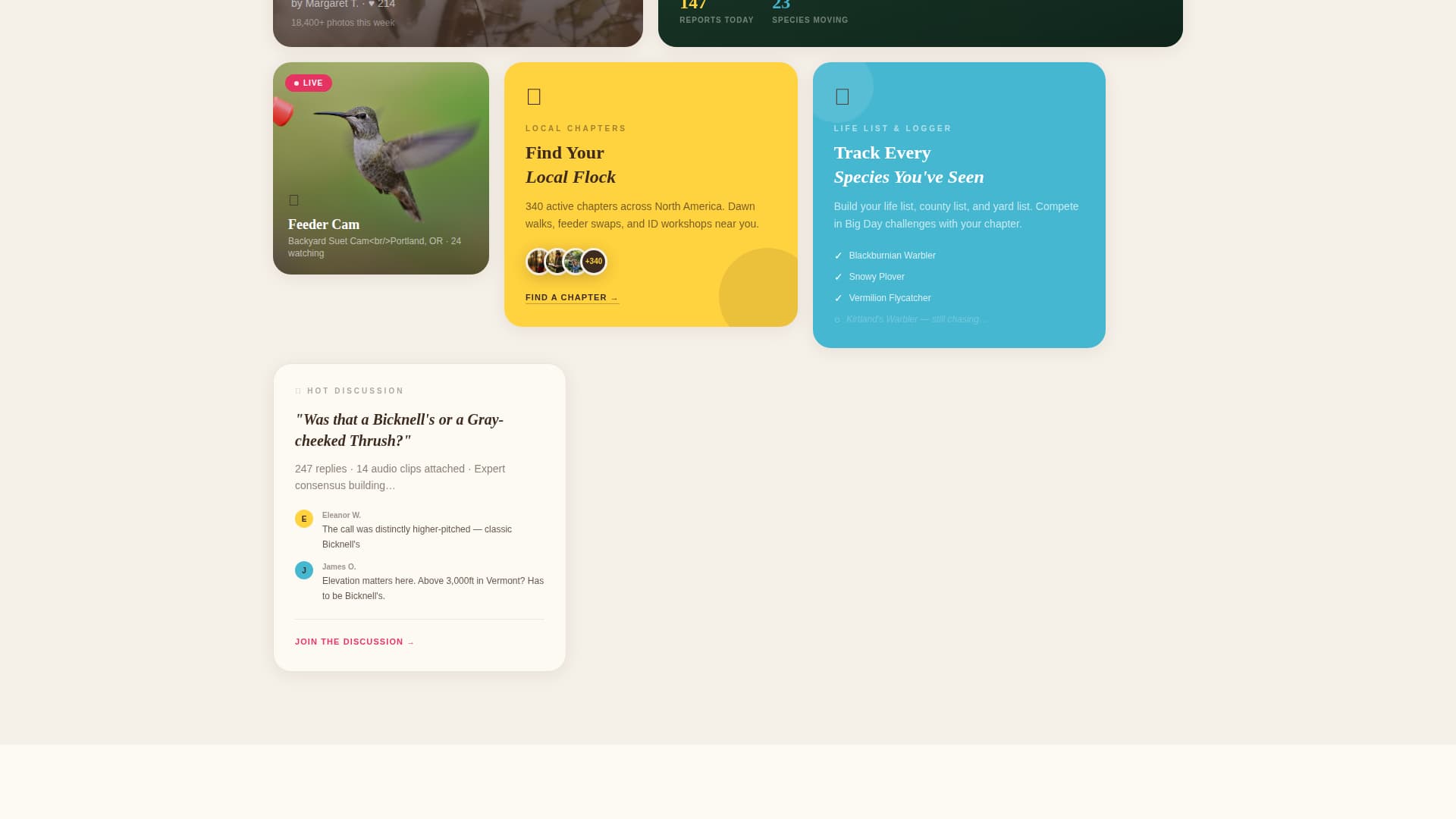 Flock - Vibrant Birding Landing Page Template