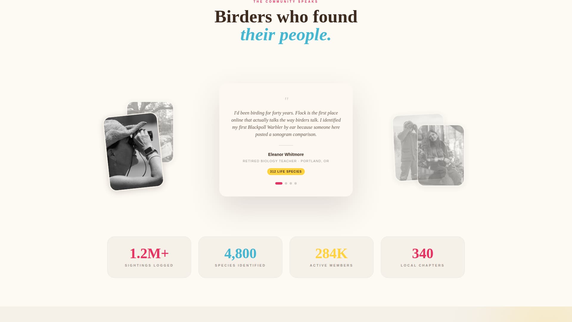 Flock - Vibrant Birding Landing Page Template