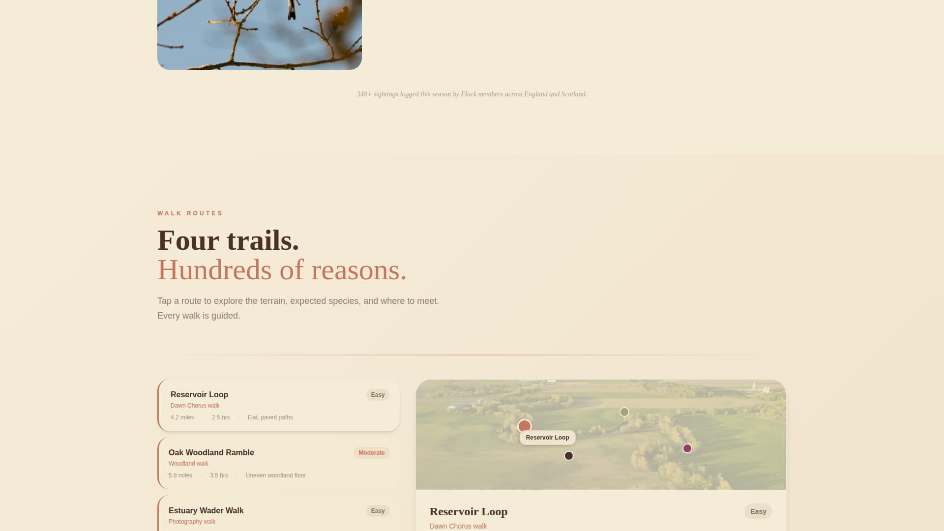 Flock - Immersive Birding Landing Page Template