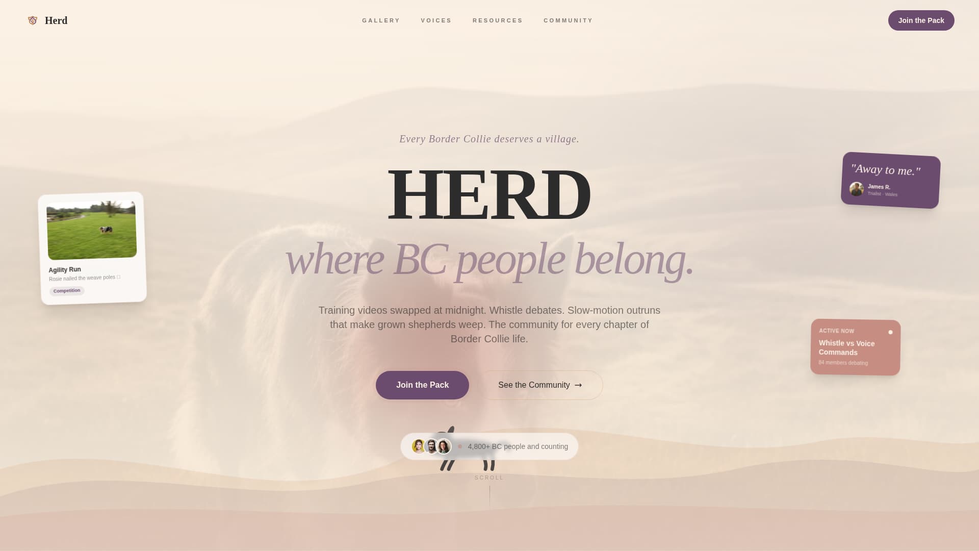 Dog Certified Professional Website Template