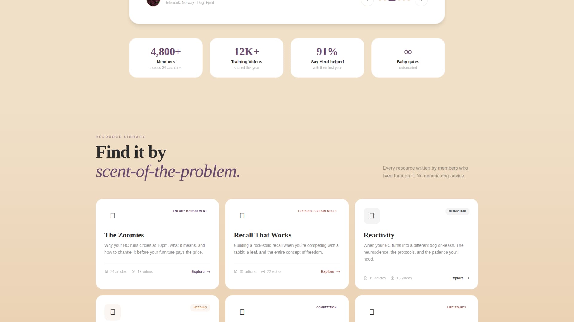 Dog Certified Professional Website Template