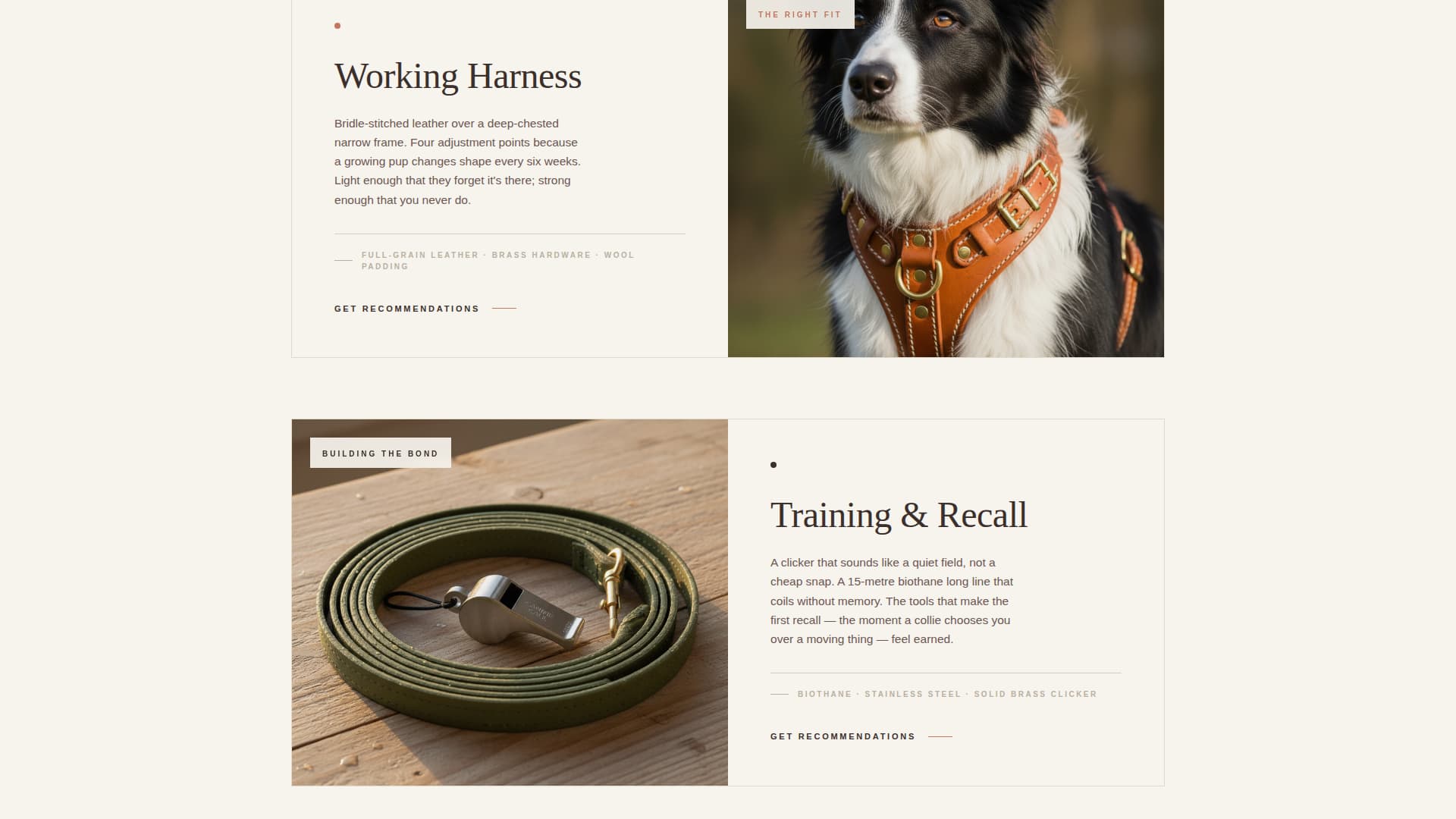 Dog Certified Booking Website Template
