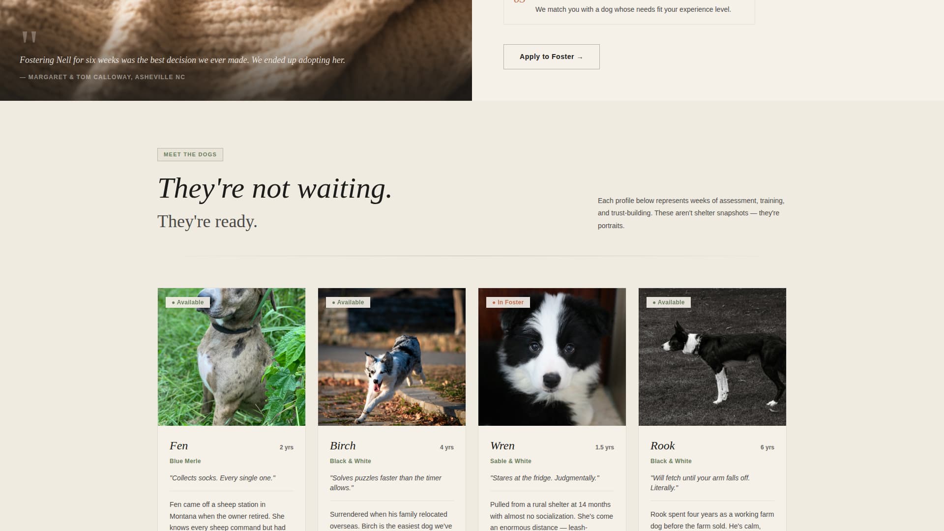 Dog Local Booking Website Template