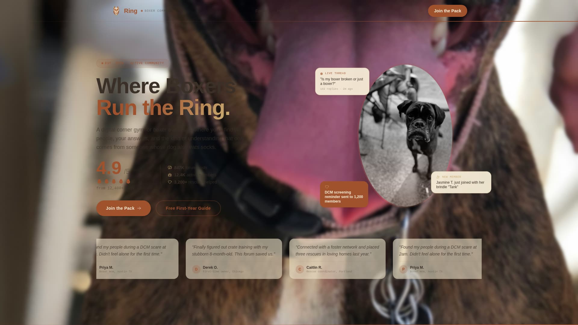 Dog Reviews Website Template