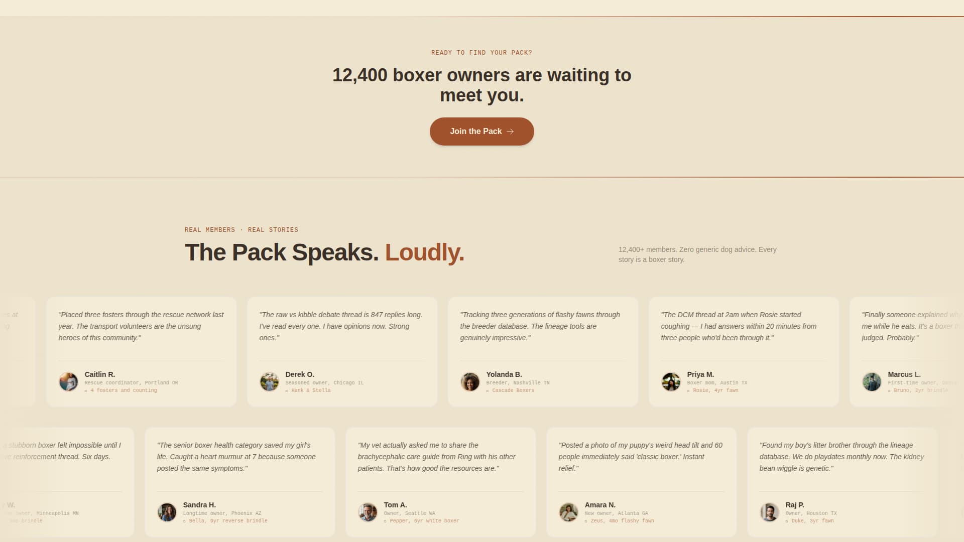 Dog Reviews Website Template