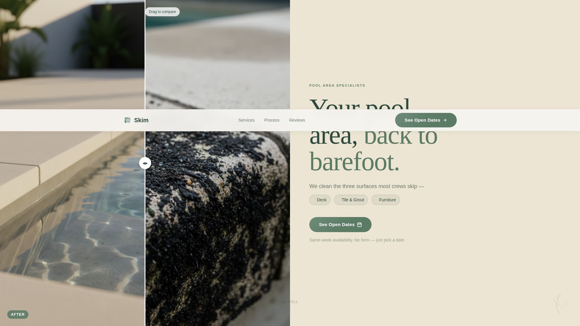 Pool Area Renovation Specialist Booking Website Template