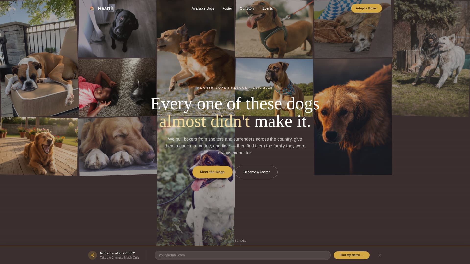Dog Specialist Professional Website Template