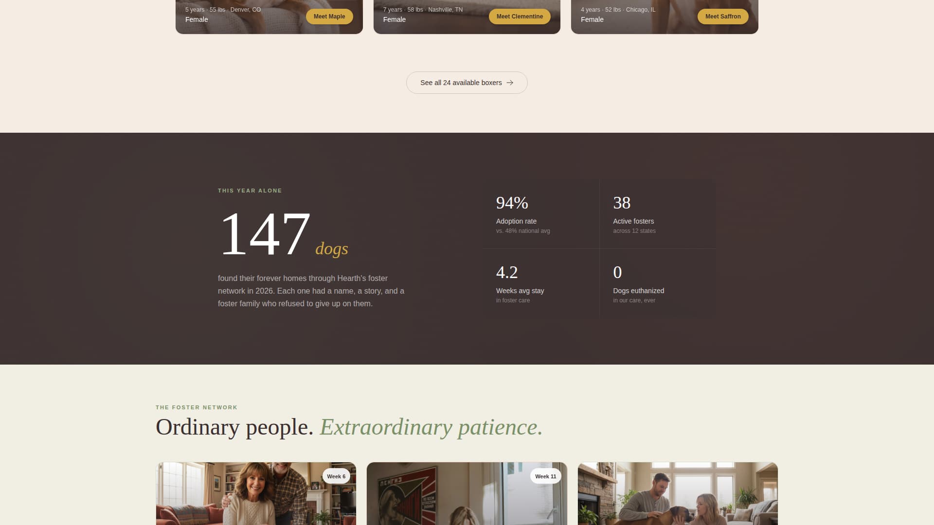 Dog Specialist Professional Website Template