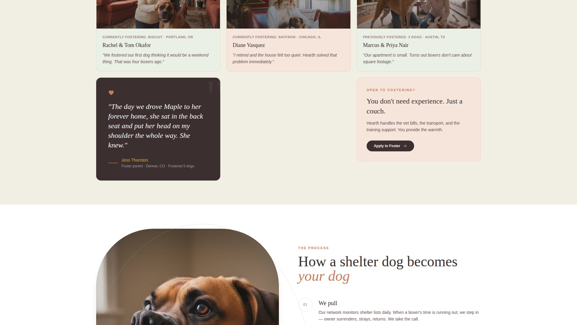Dog Specialist Professional Website Template