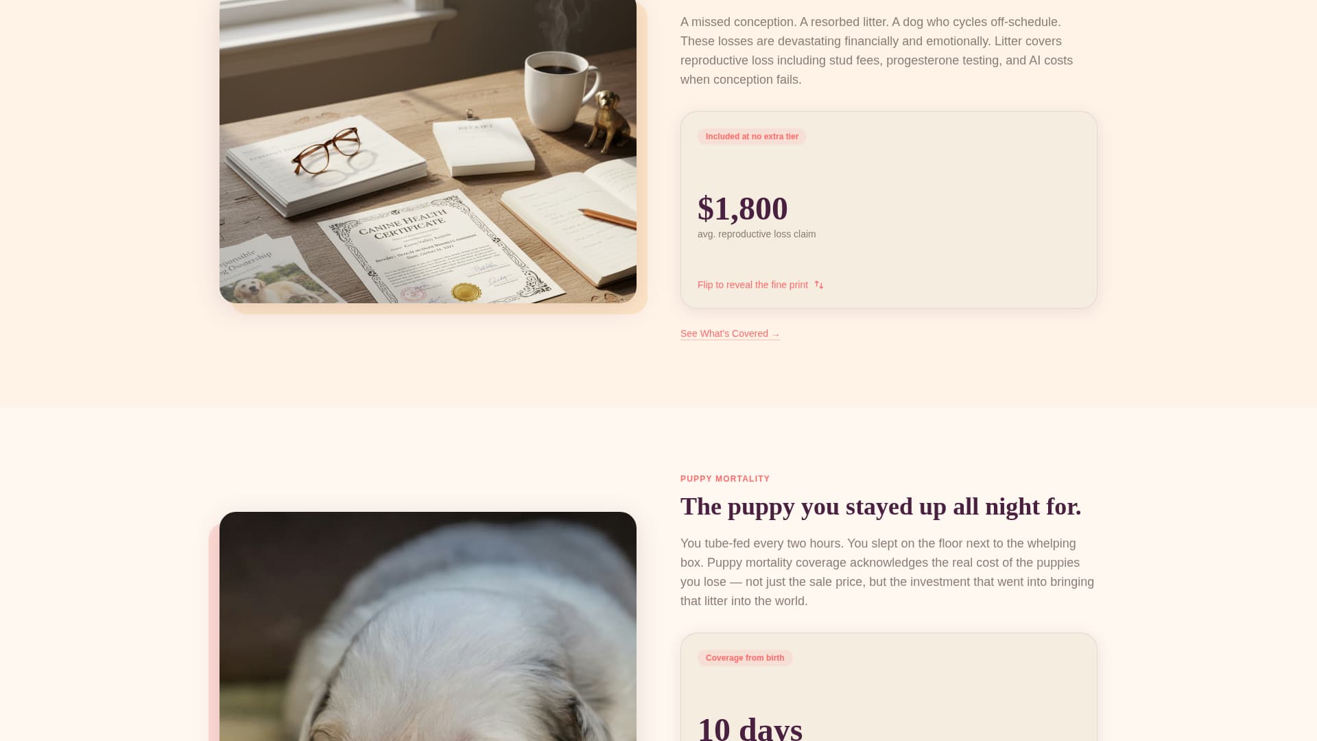 Litter - Trusted Breeder Landing Page Template