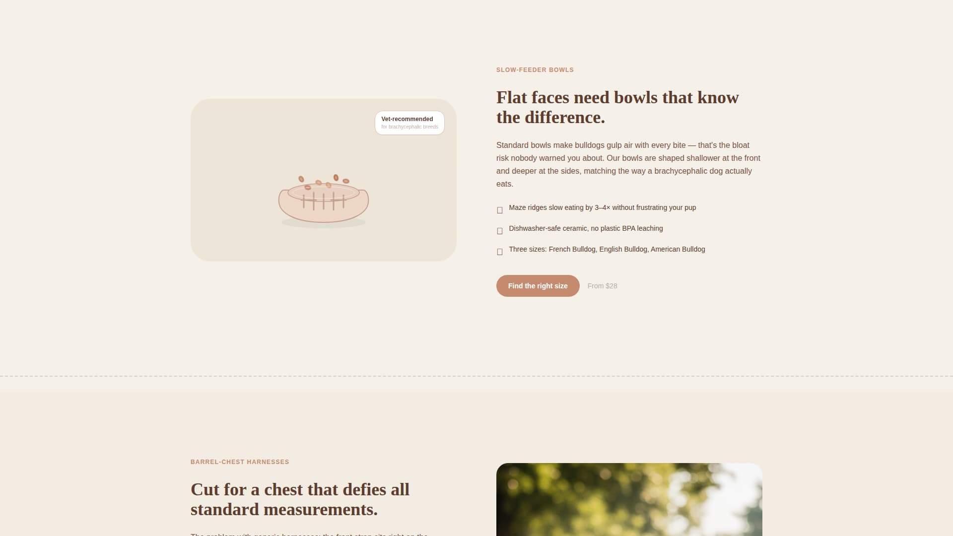 Dog Virtual Professional Website Template