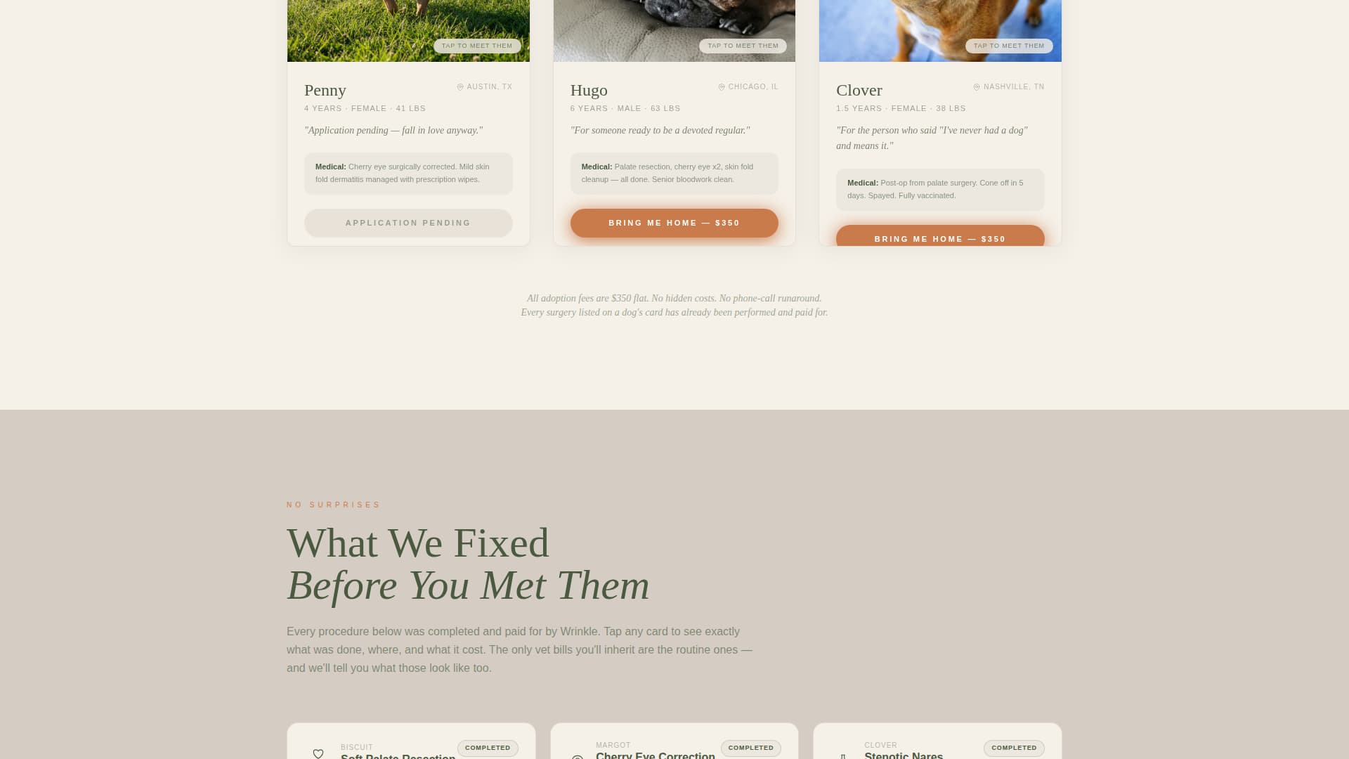 Dog Complete Pricing Website Template