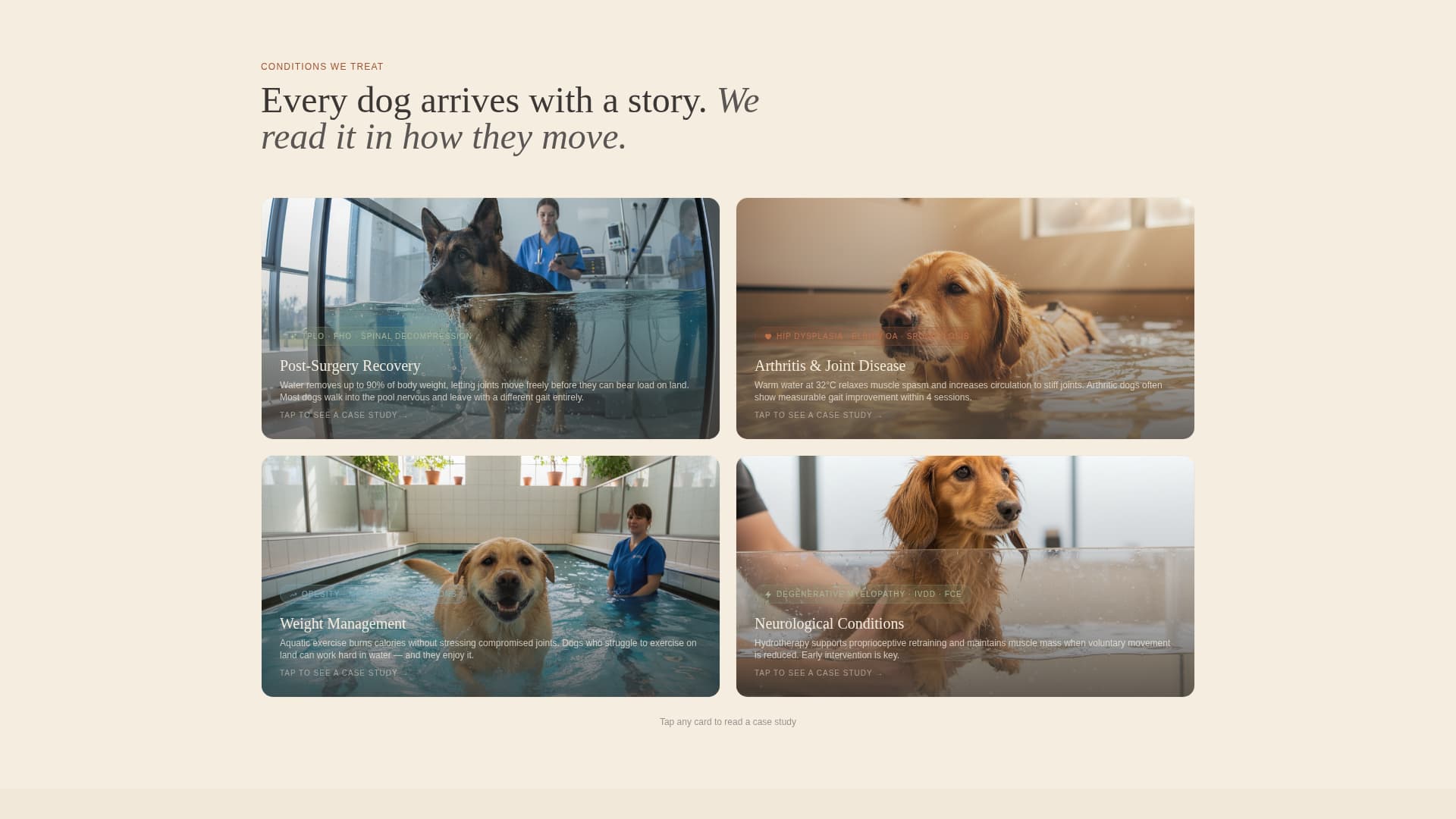 Animal Therapy & Booking Website Template