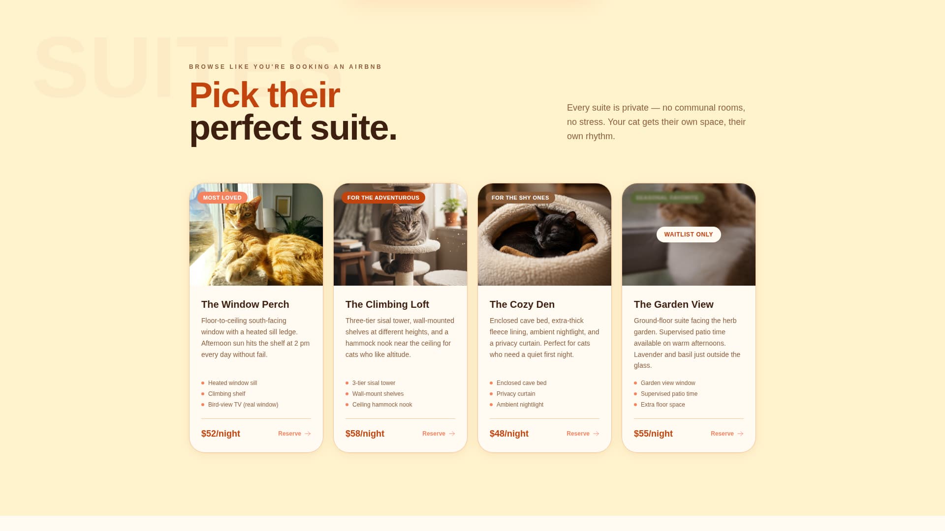 Cat Booking Website Template