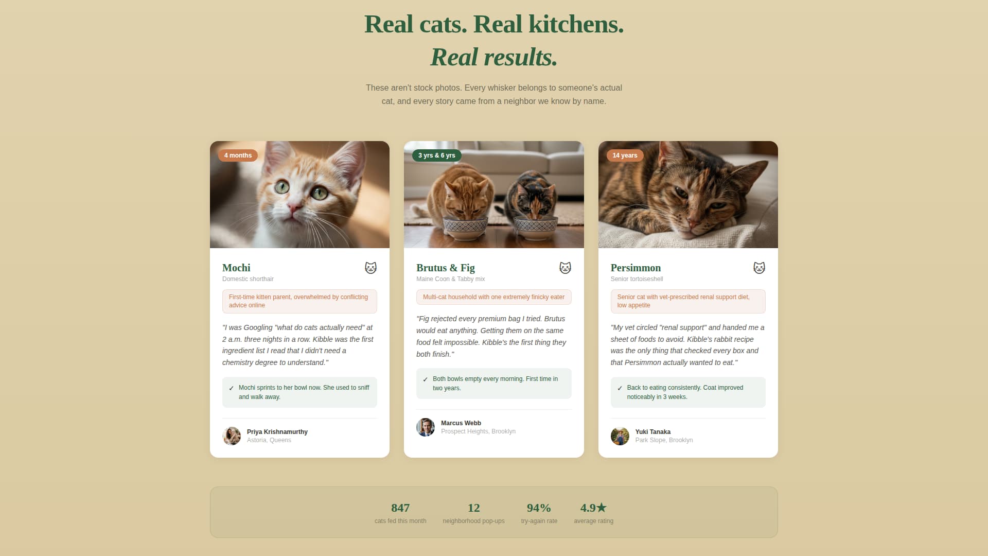 Kibble - Wholesome Catfood Landing Page Template
