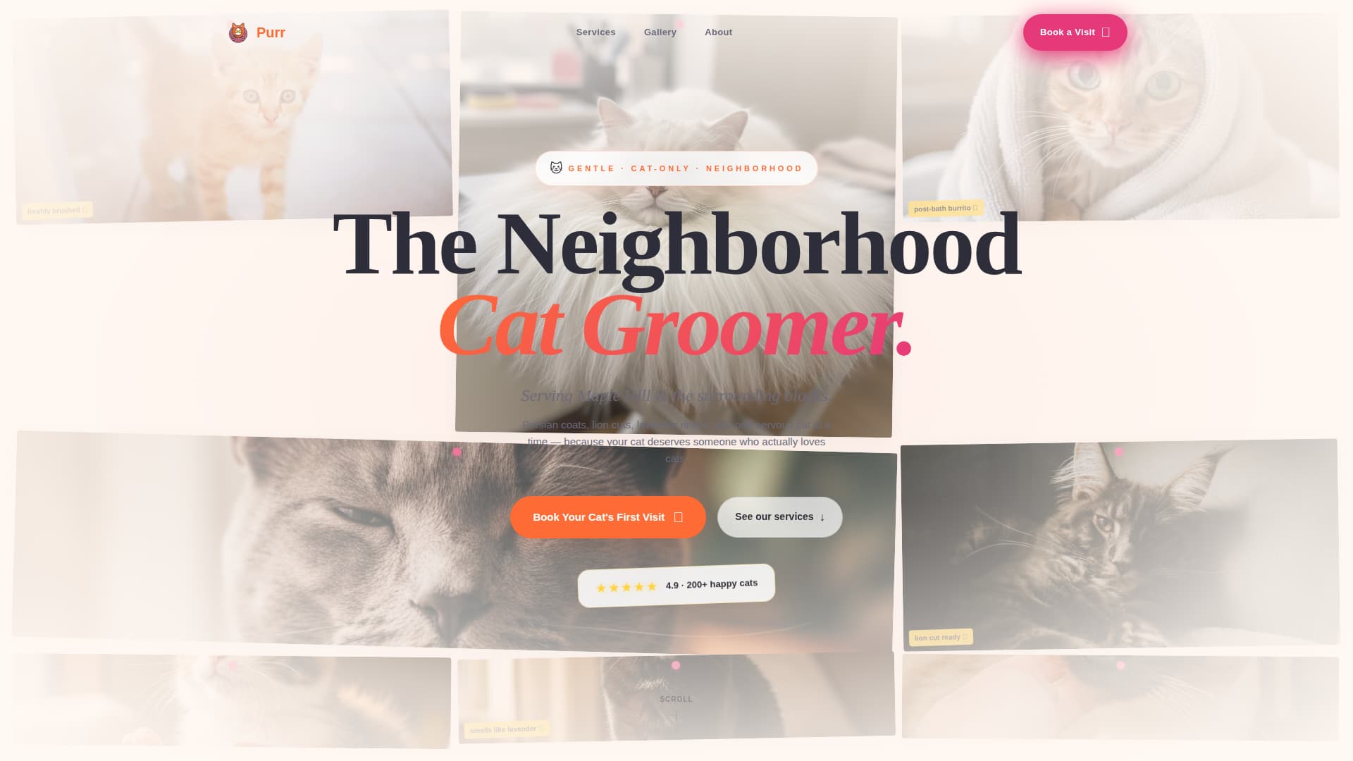 Purr - Cozy Catgrooming Landing Page Template
