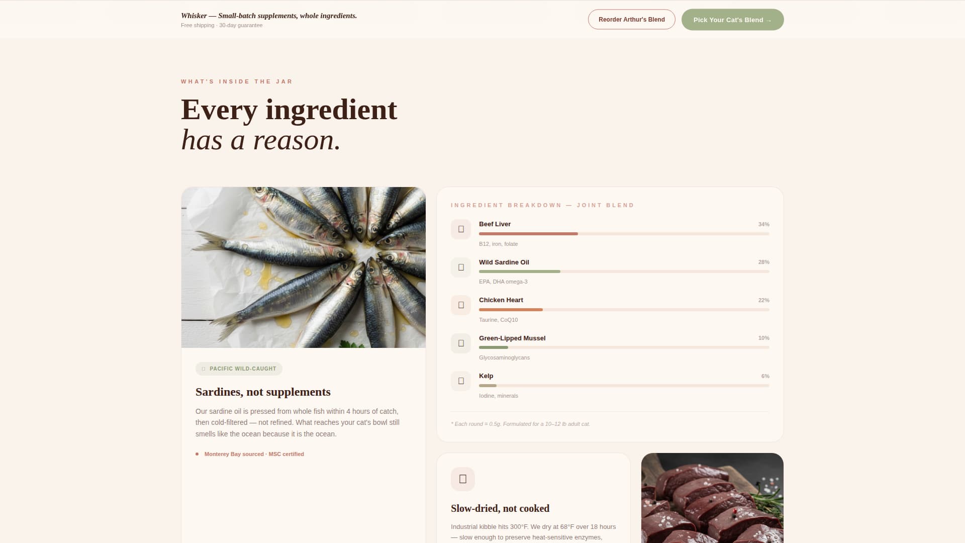 Cat Specialist Professional Website Template