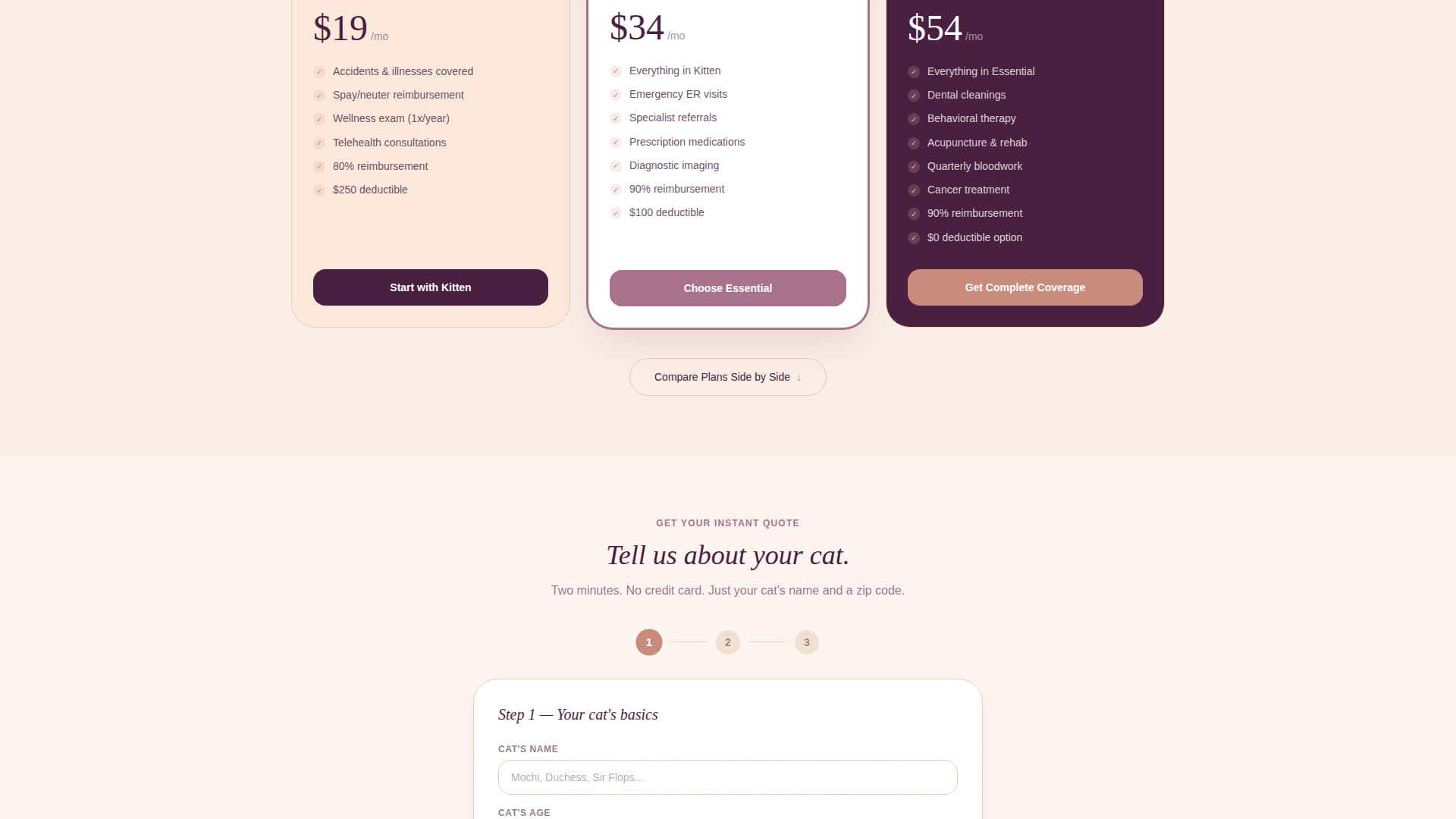 Cat Professional Website Template