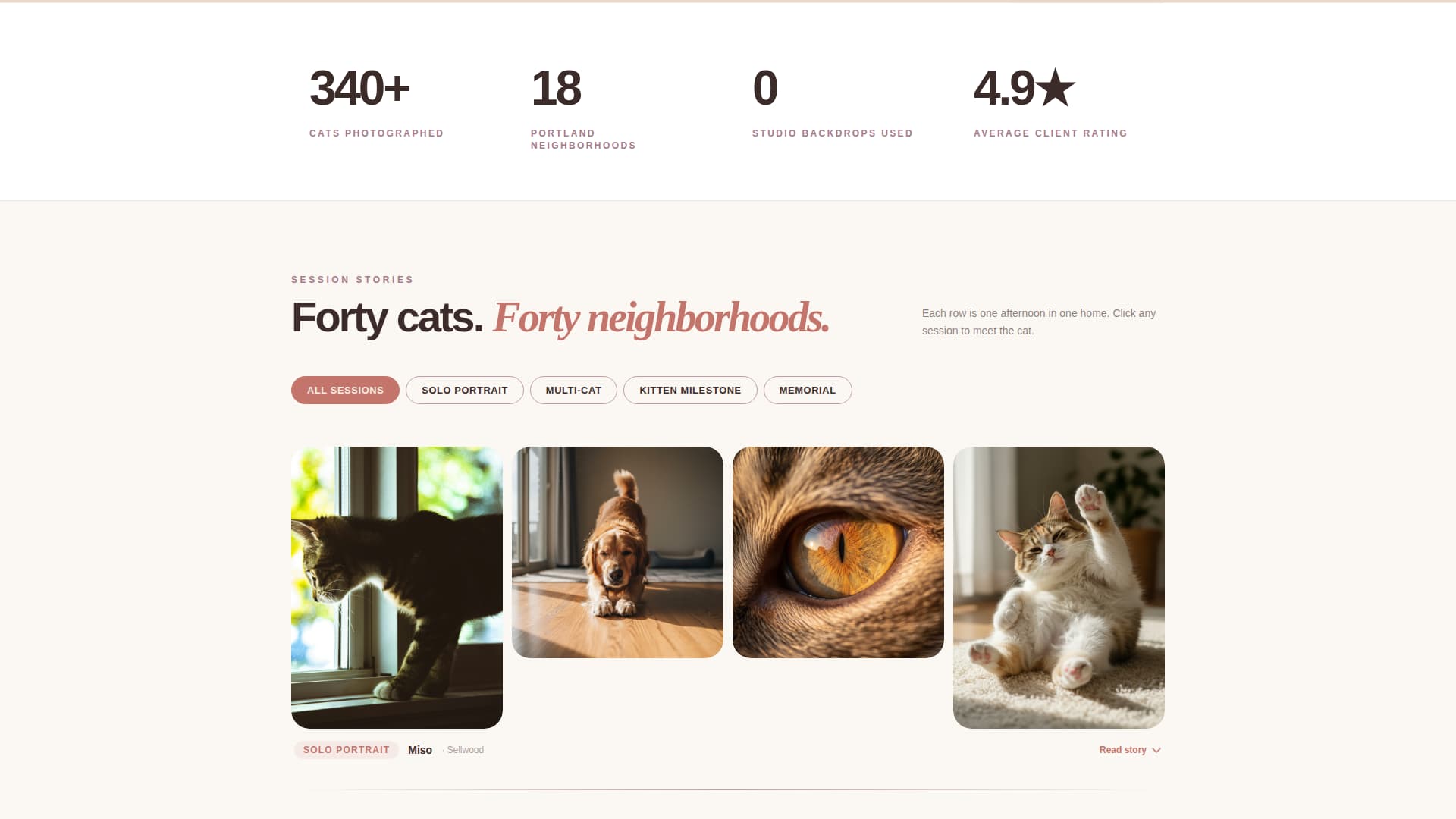 Cat Advanced Booking Website Template