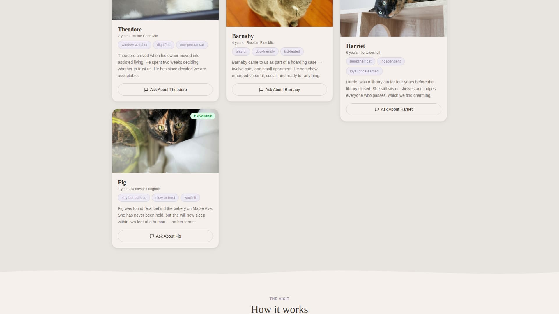 Foster - Heartfelt Catrescue Landing Page Template
