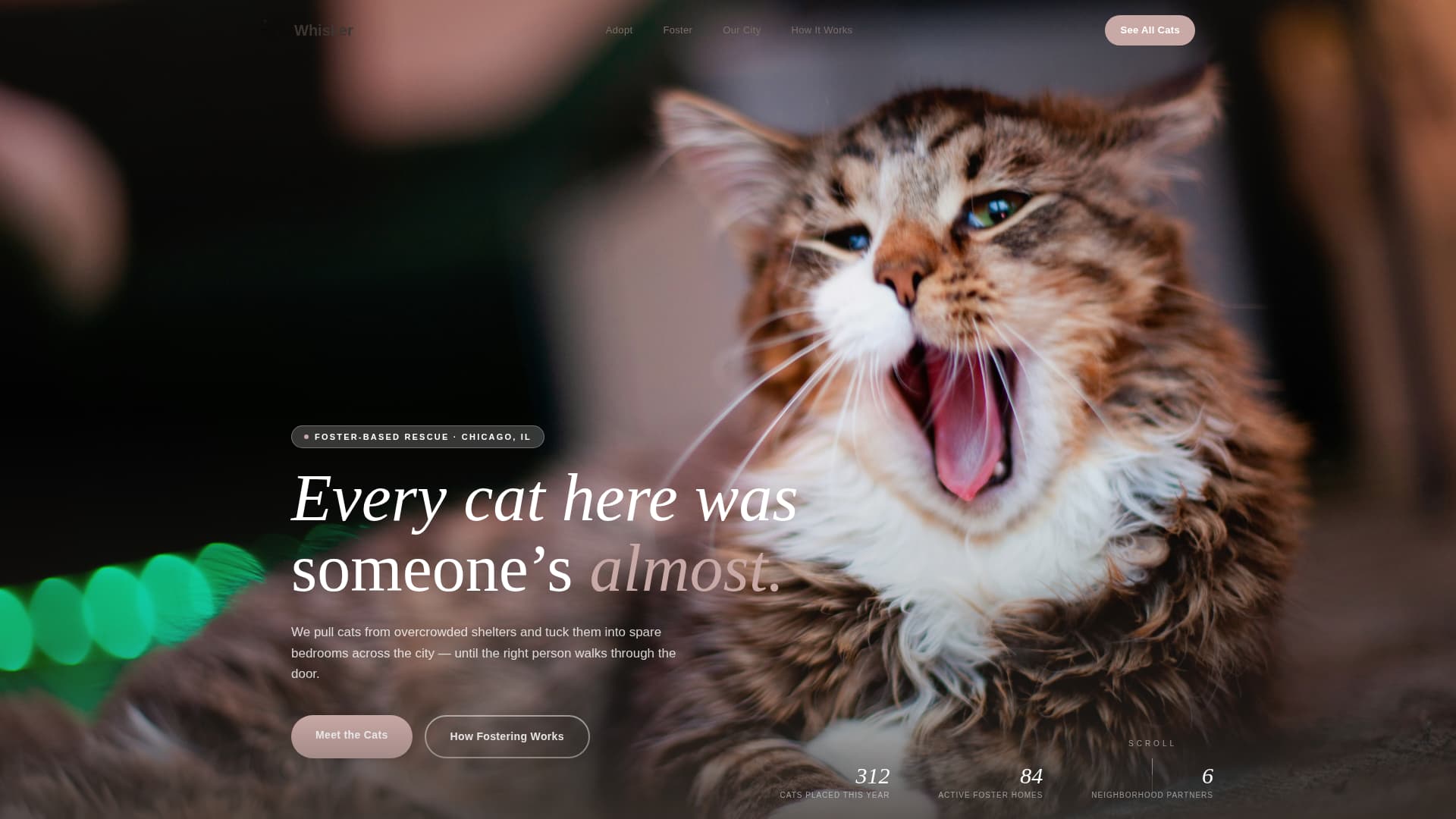 Whisker - Heartwarming Adoption Landing Page Template