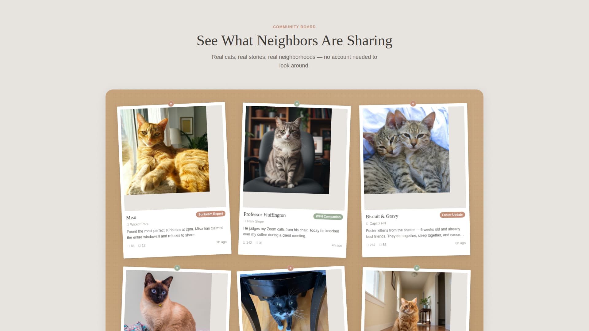 Whisker - Cozy Catcommunity Landing Page Template