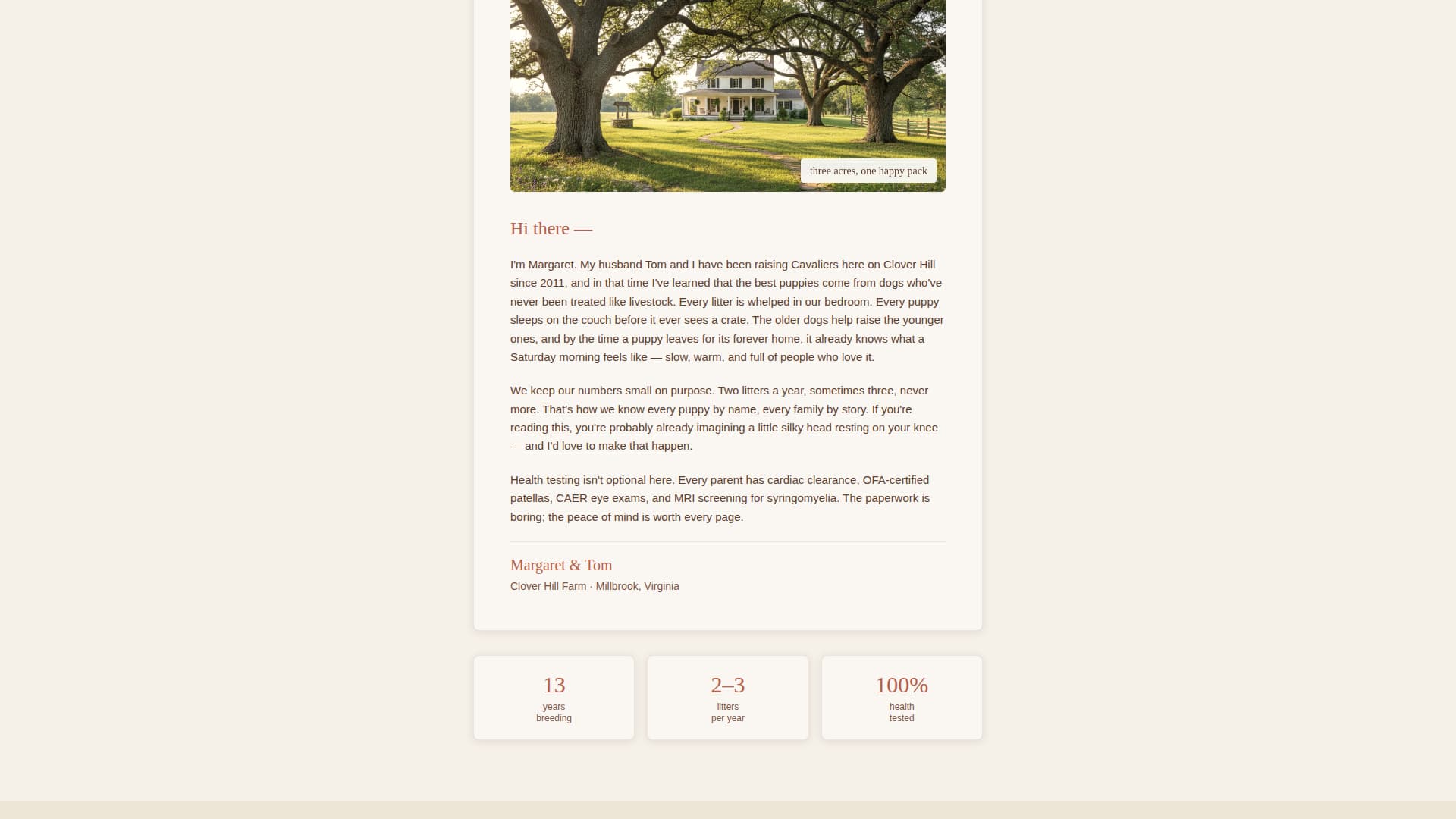 Dog Professional Website Template
