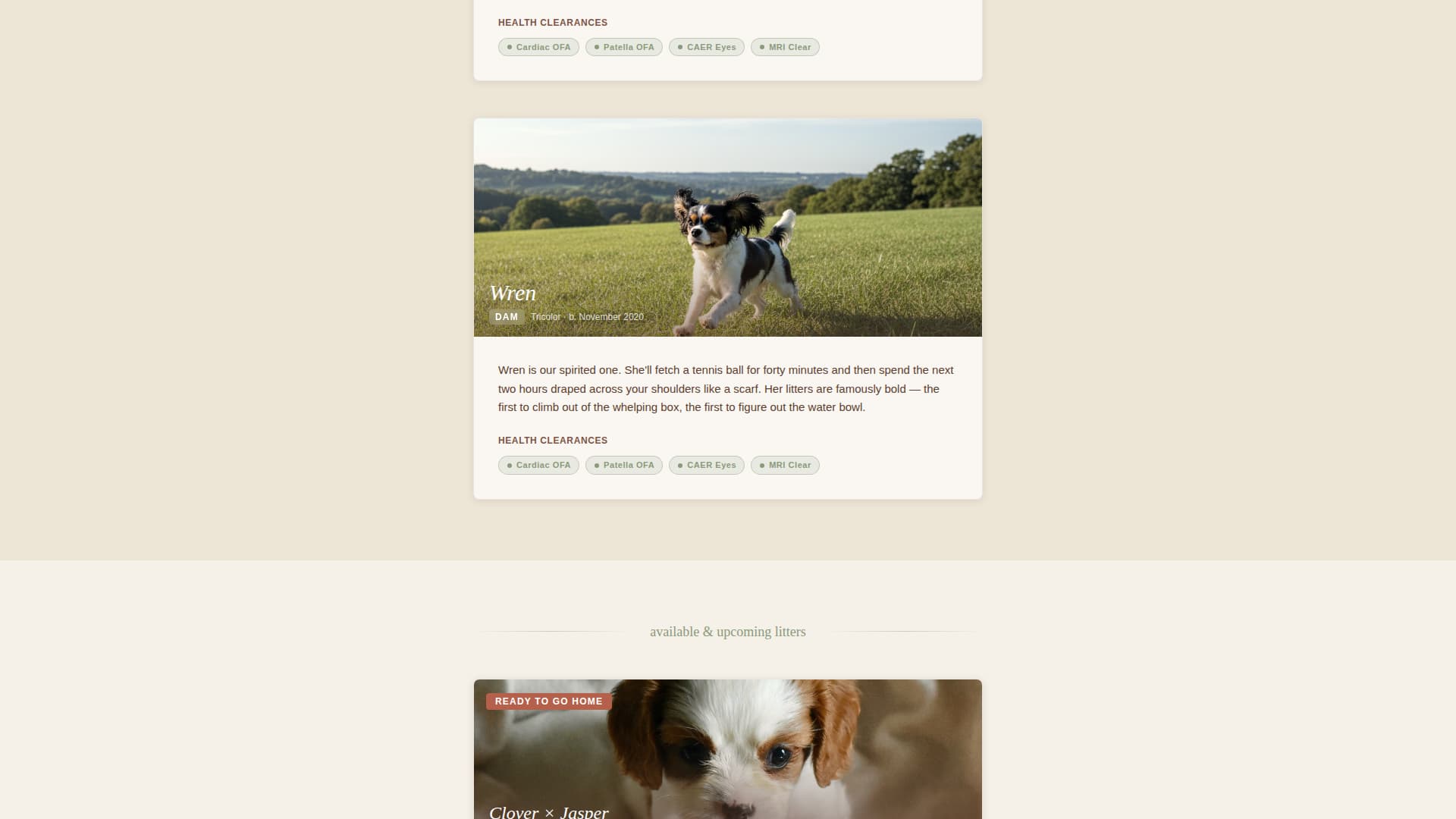 Dog Professional Website Template