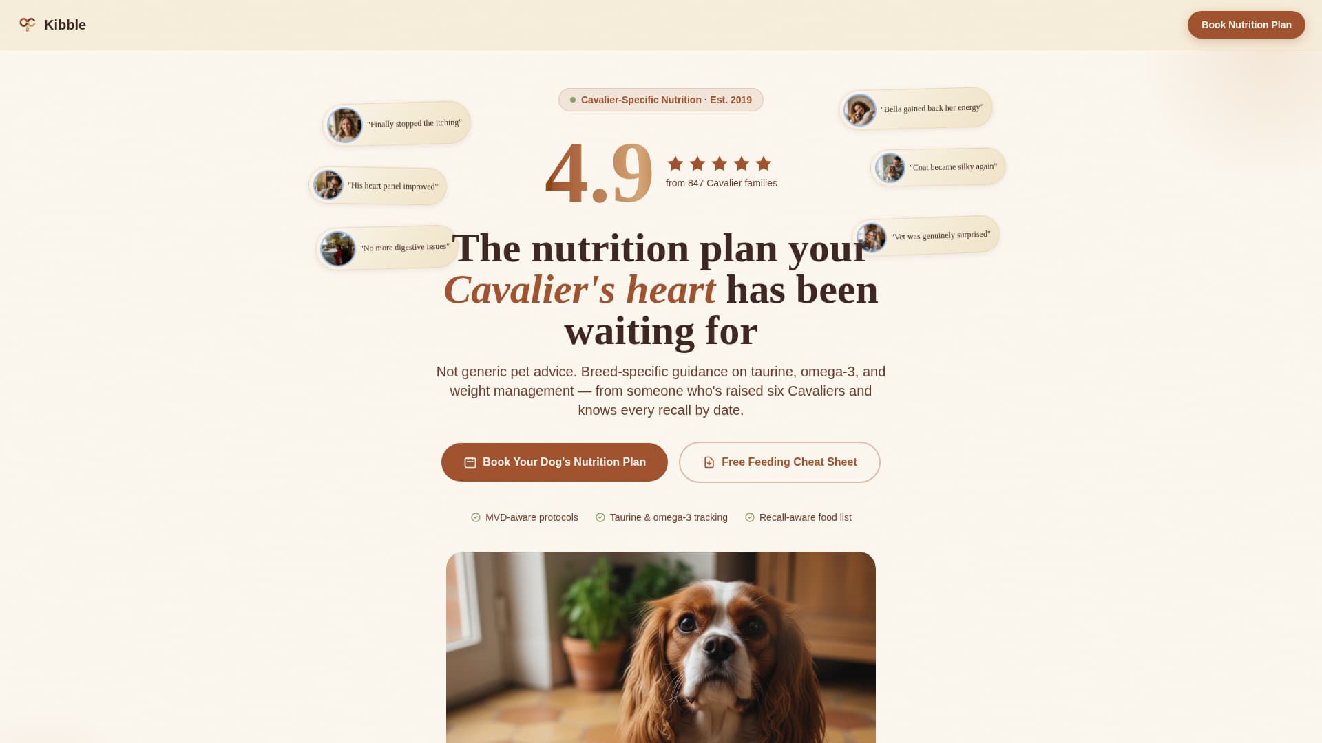 Dog Independent Booking Website Template