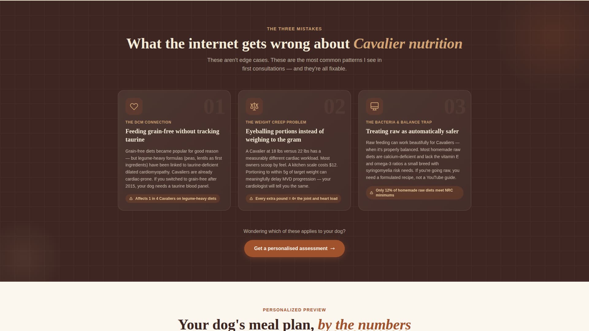 Dog Independent Booking Website Template